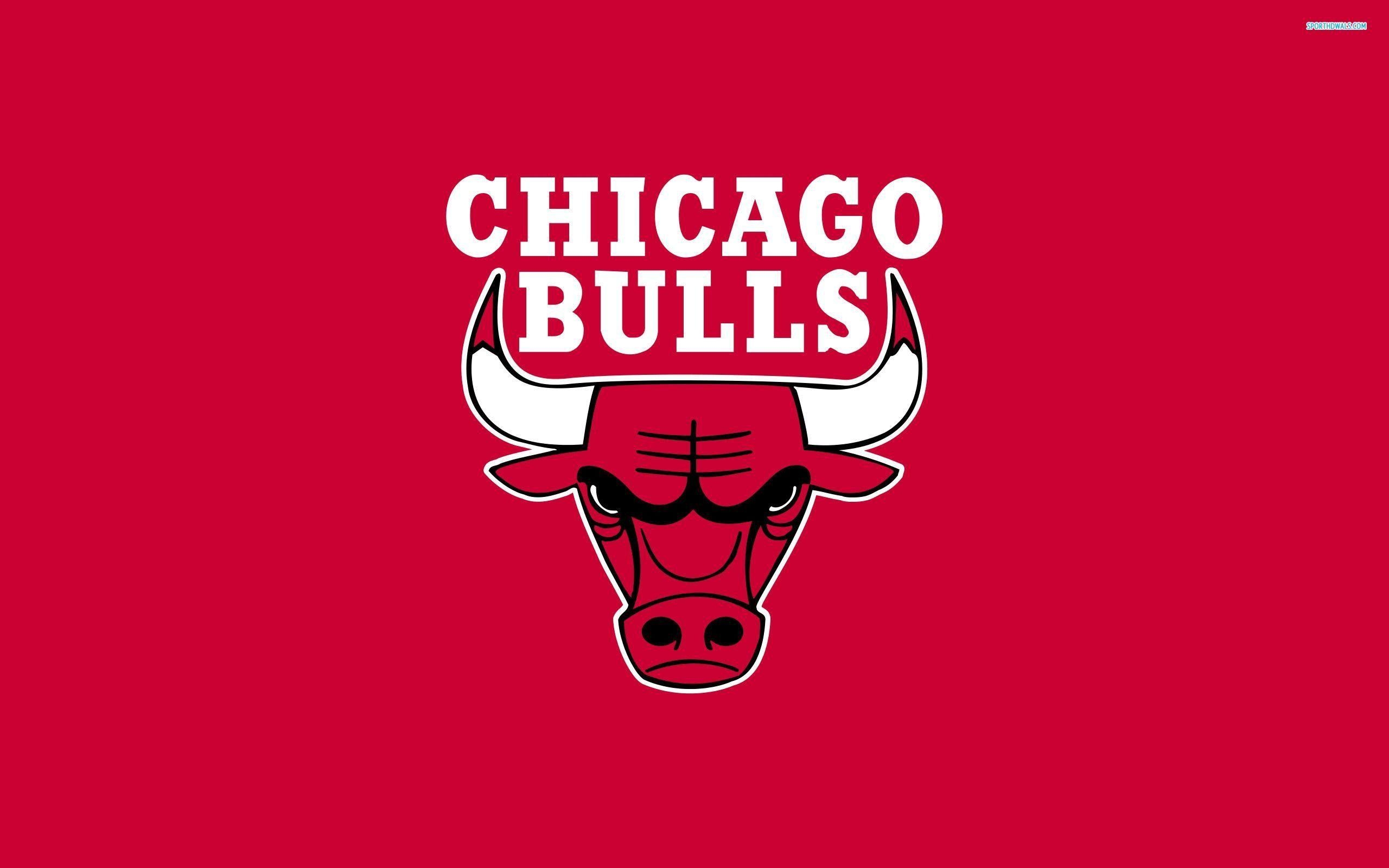 Chicago Bulls, gute, HD, Basketball, Sport, 2560x1600 HD Desktop