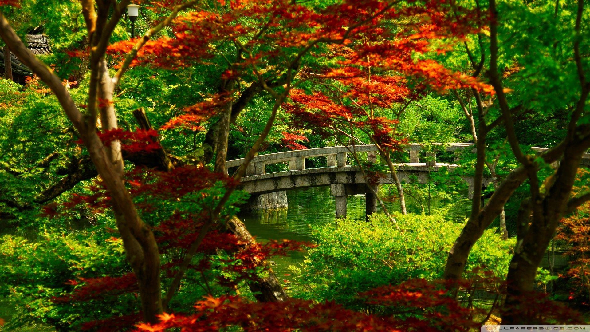 Japanischer Garten, Kyoto, 4K, HD, Ultra HD, 1920x1080 Full HD Desktop