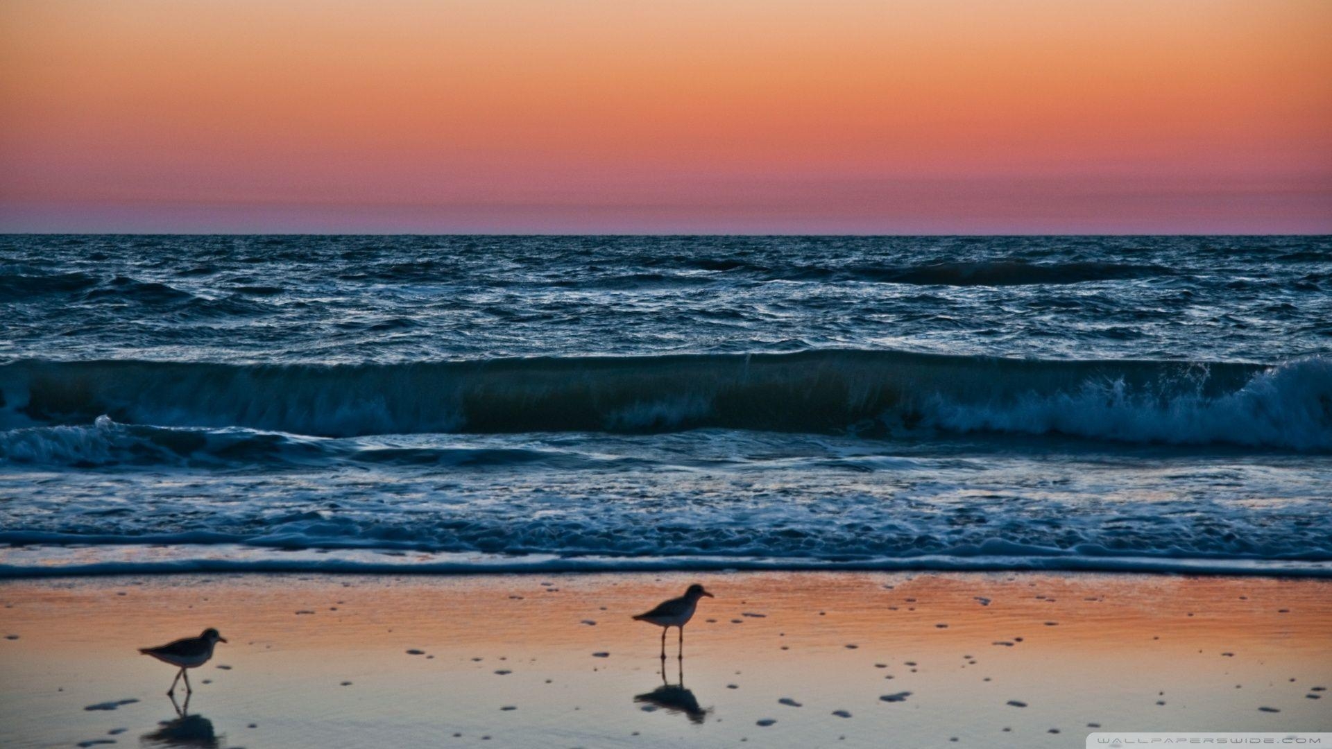 Neapel, Florida, Sonnenaufgang, Küste, Reisen, 1920x1080 Full HD Desktop