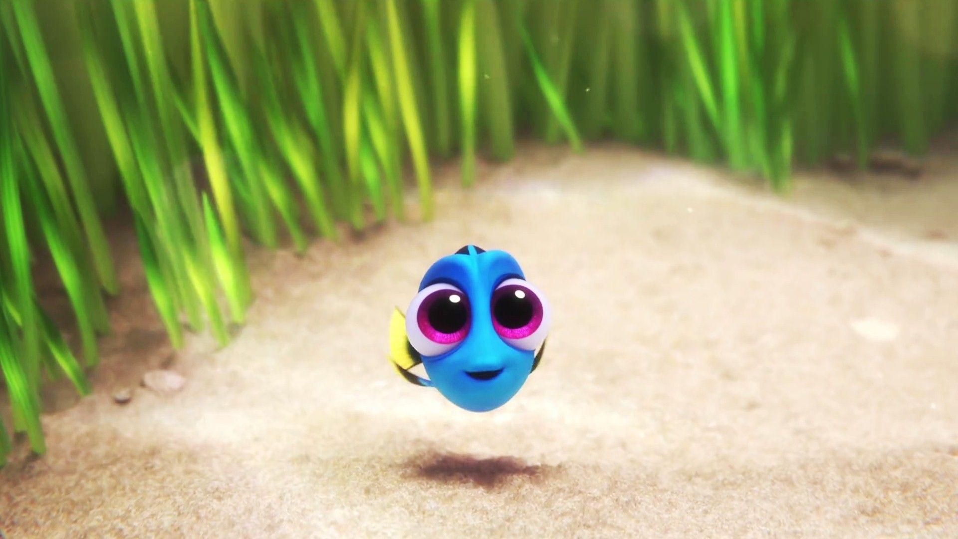 Niedlich, Baby Dory, Findet Dorie, Bild, Pixar, 1920x1080 Full HD Desktop