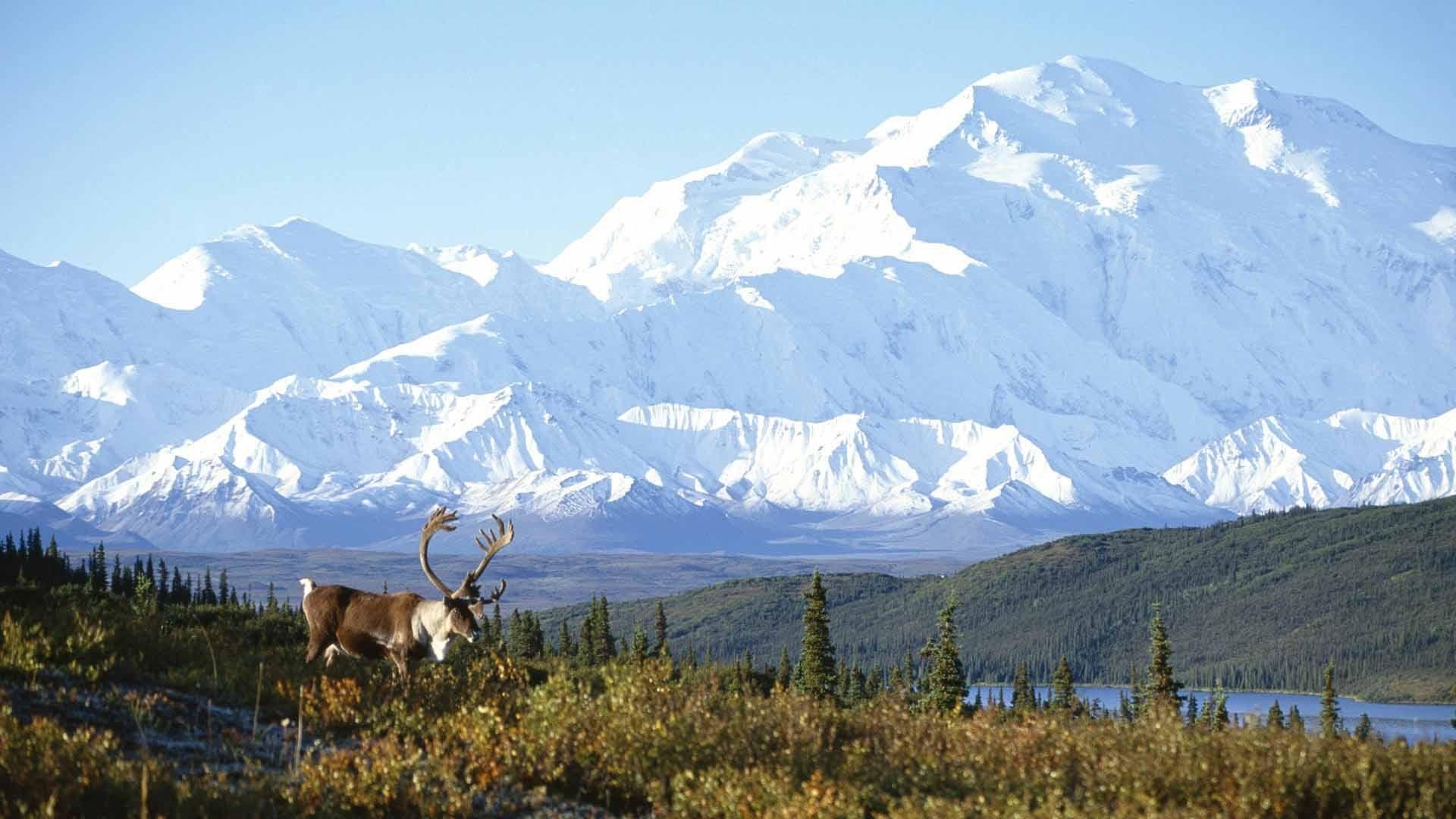 Alaska, Denali, Nationalpark, Reisen, Sehenswürdigkeiten, 1920x1080 Full HD Desktop