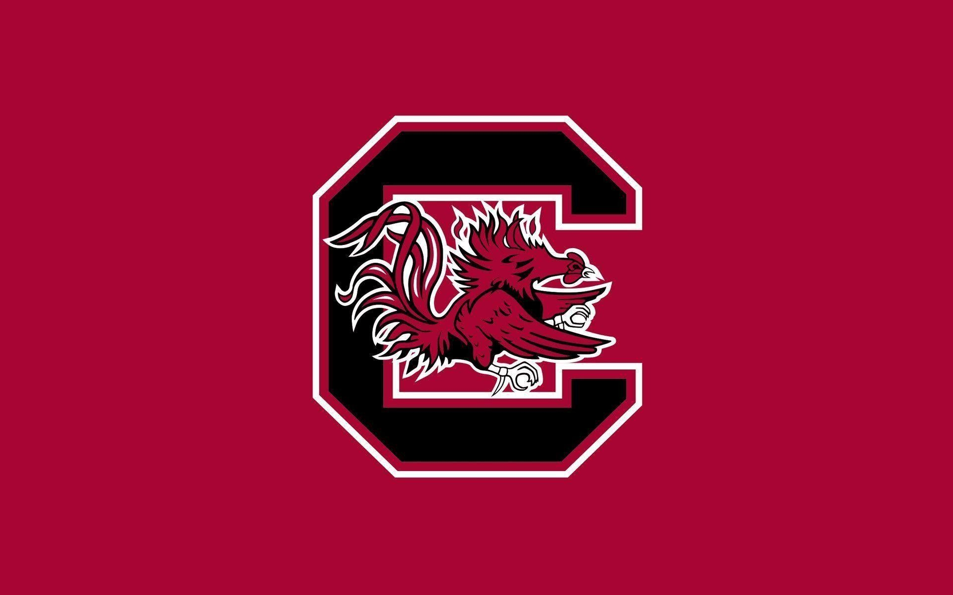 South Carolina, Universität, Hintergrundbild, Gamecocks, USA, 1920x1200 HD Desktop