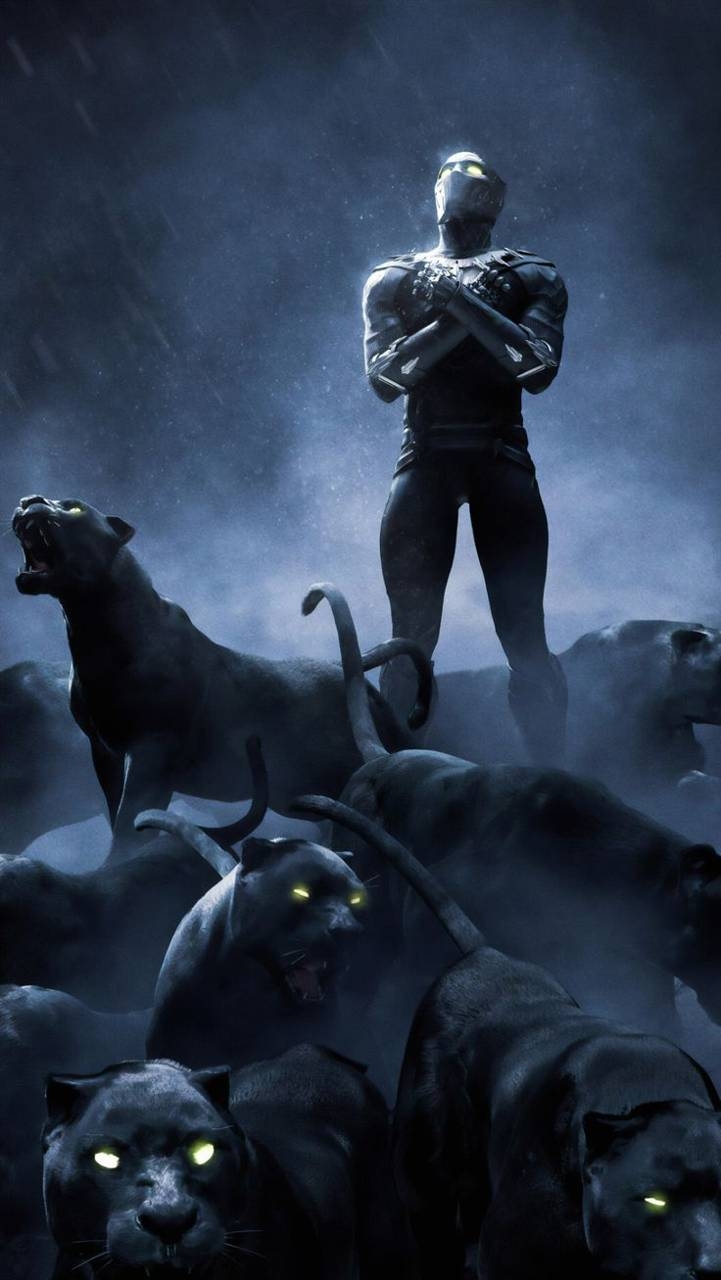 Wakanda, Forever, Film, Schwarzer Panther, Marvel, 730x1280 HD Handy