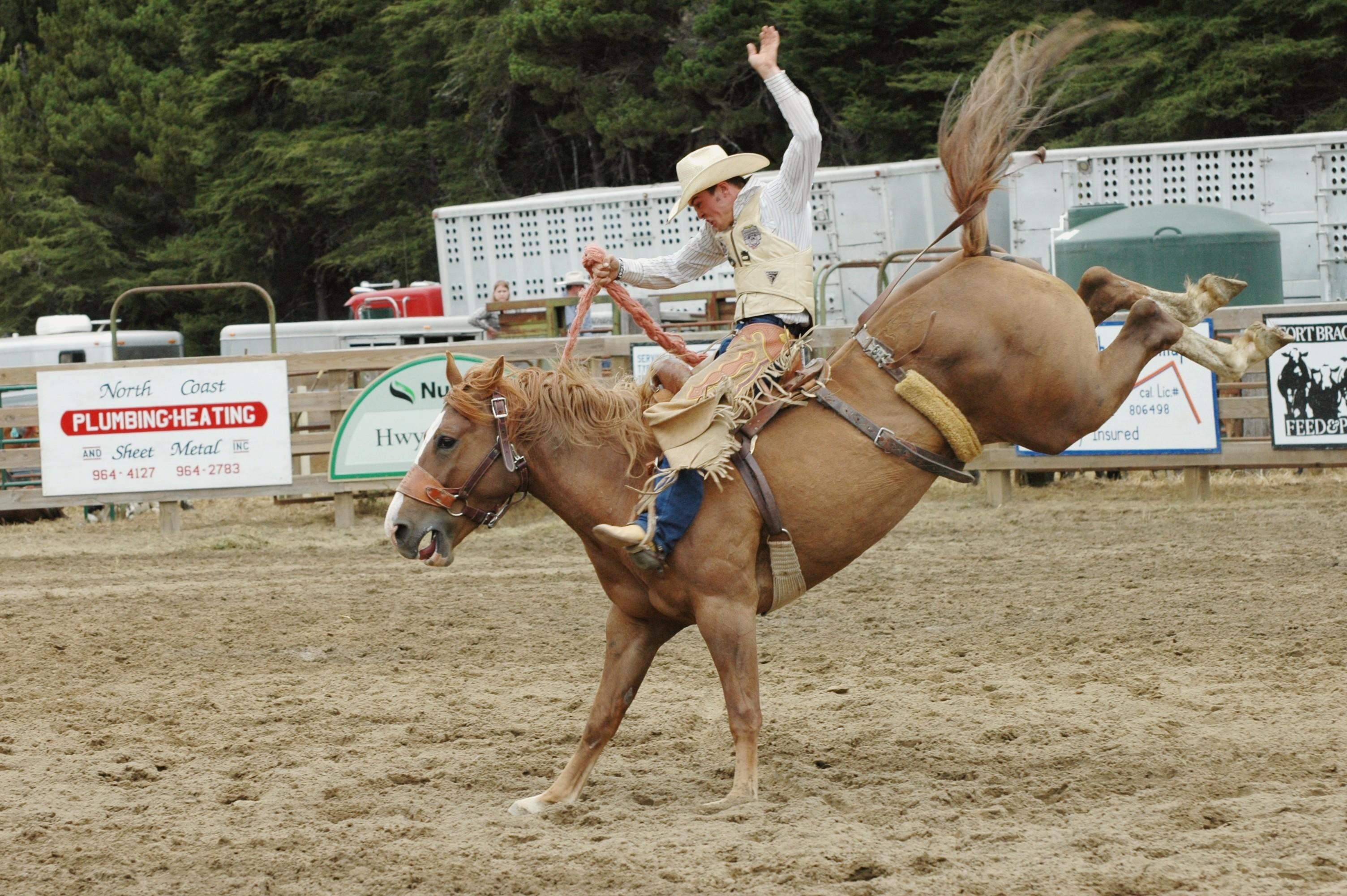 Rodeo, HD, Download, Sport, Western, 3010x2000 HD Desktop