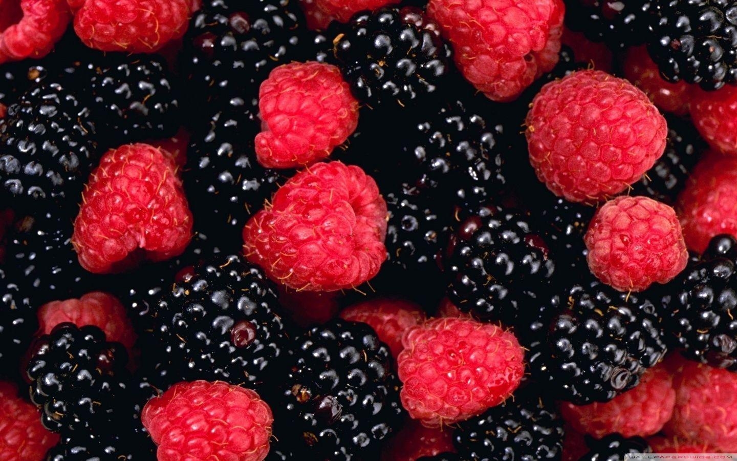 Beeren, Fotos, Obst, Essen, Frucht, 1440x900 HD Desktop