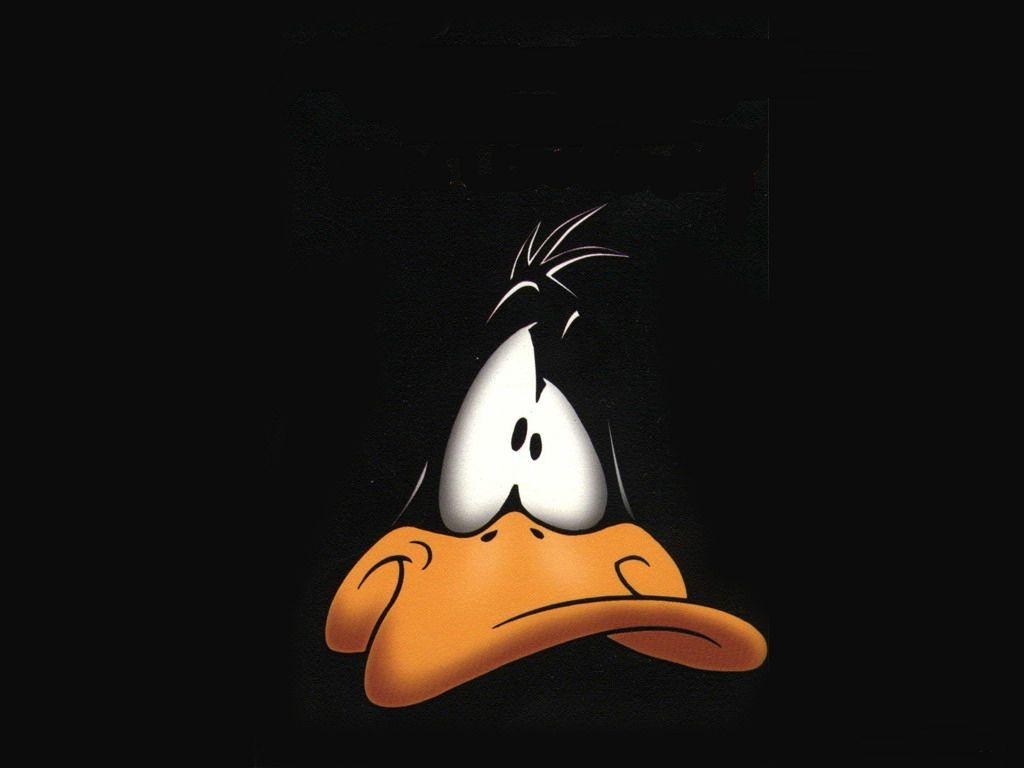 Daffy Duck, Widescreen, Zeichentrick, Comic, Schwarz, 1030x770 HD Desktop