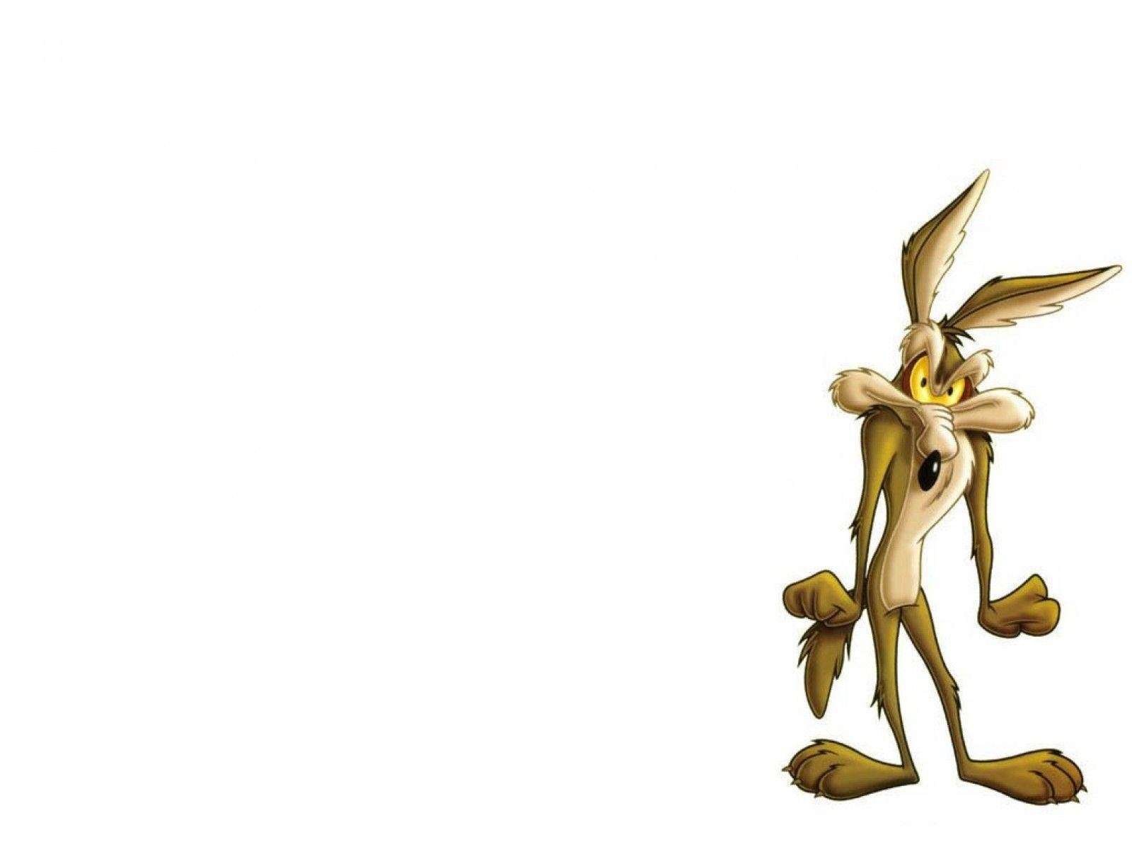 Wile E Kojote, Cartoons, Looney Tunes, Animation, Humor, 1600x1200 HD Desktop