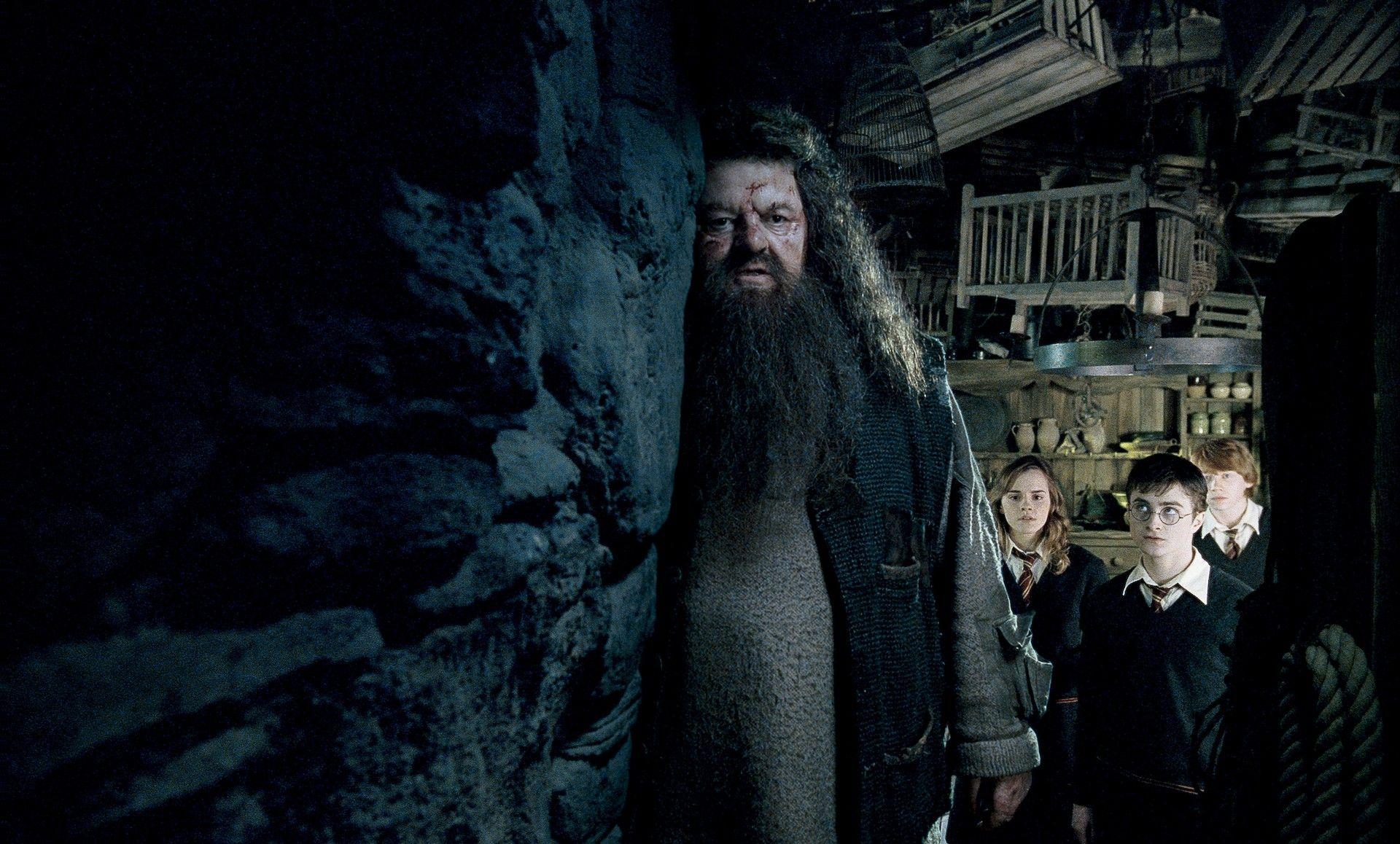 Hagrid, Foto, Filmfigur, Fantasywelt, Bild, 1920x1160 HD Desktop