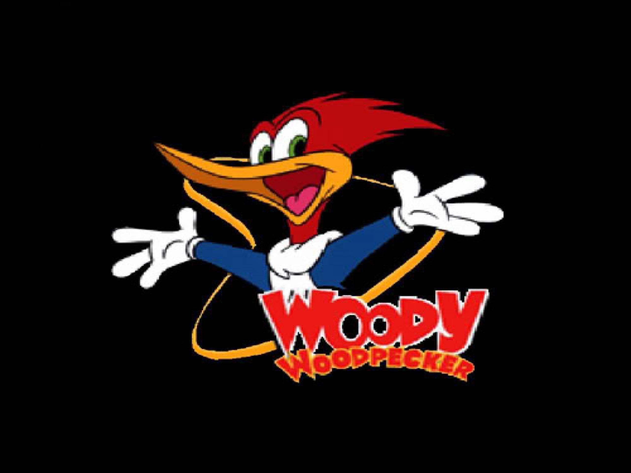 Woody Woodpecker, Cartoon, Hintergrund, Animation, Kinder, 2560x1920 HD Desktop