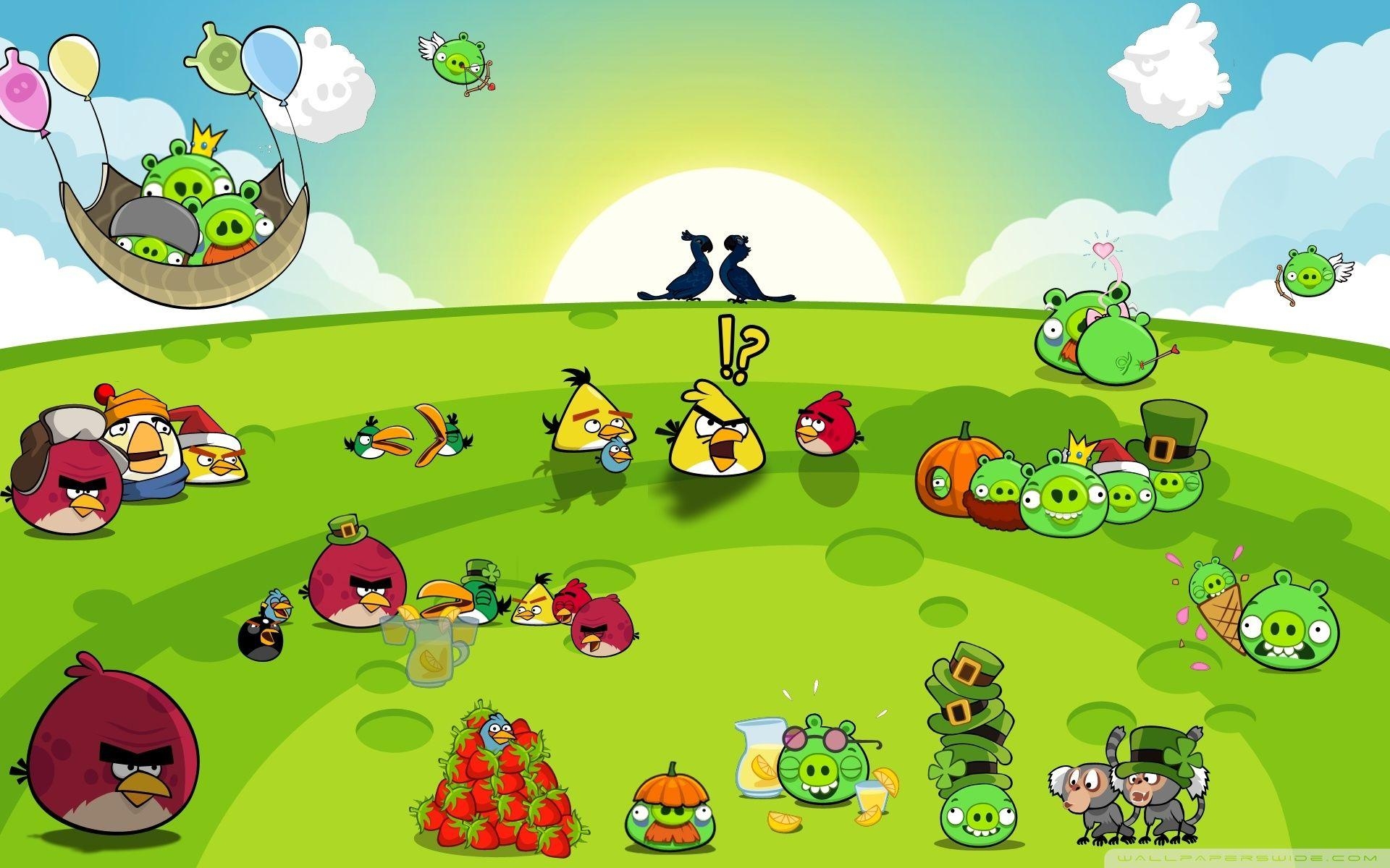 Angry Birds, Gaming, Cartoon, Galerie, Unterhaltung, 1920x1200 HD Desktop