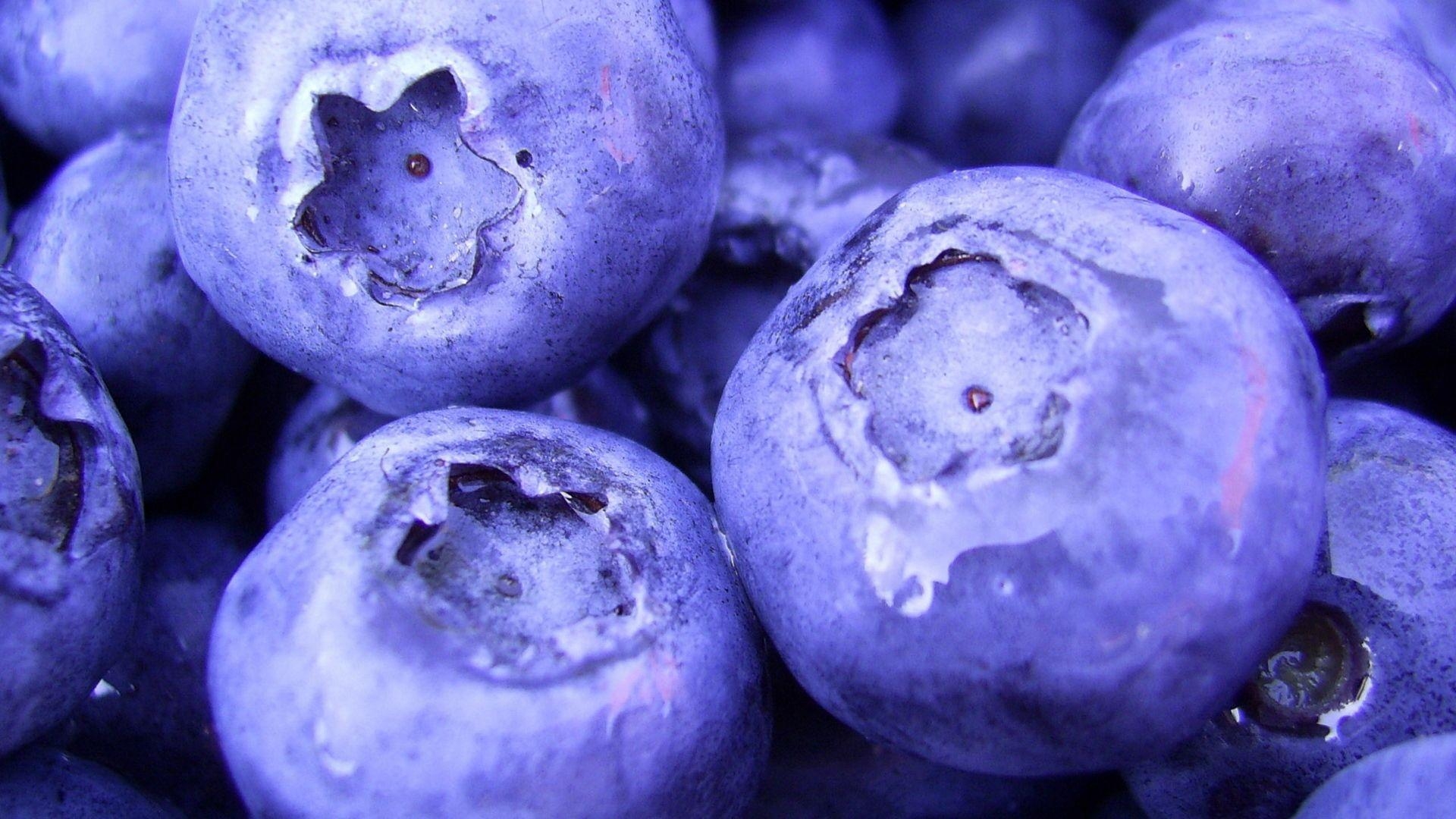 Blaubeeren, Beeren, Süß, HD, Herunterladen, 1920x1080 Full HD Desktop