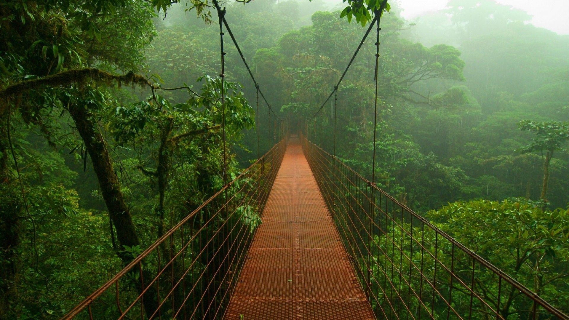 Costa Rica, Natur, Dschungel, Ozean, Berglandschaft, 1920x1080 Full HD Desktop