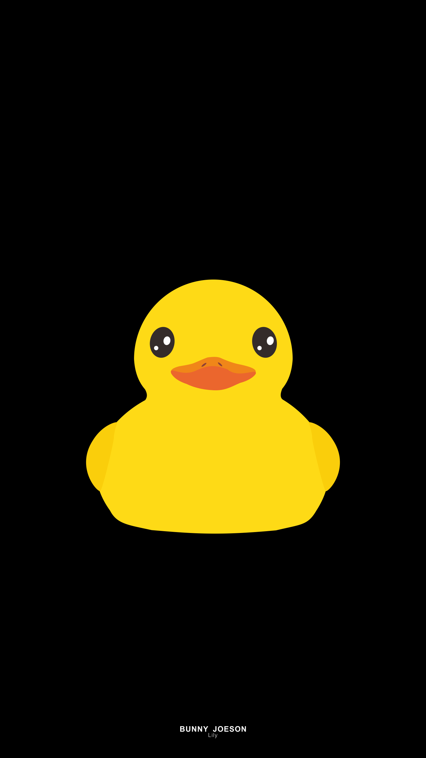 Ente, Klassisch, Tierabbildung, Eleganz, Naturszene, 1440x2560 HD Handy