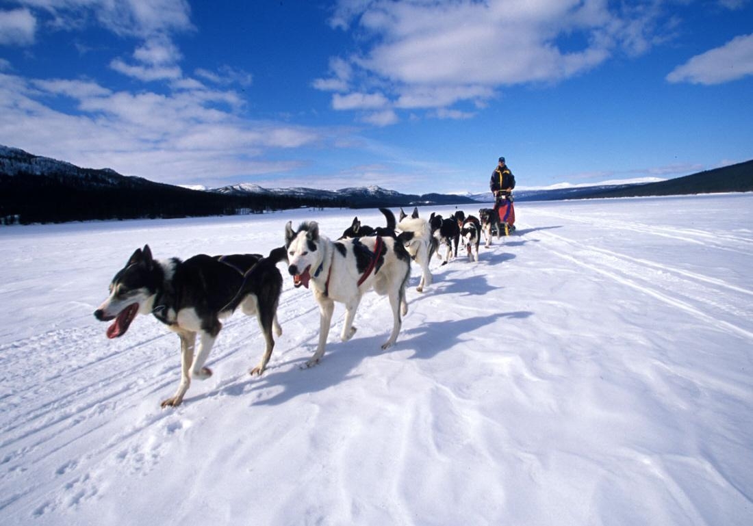 Schlittenfahren, Sport, Landschaft, Winter, Hintergrund, 1100x770 HD Desktop