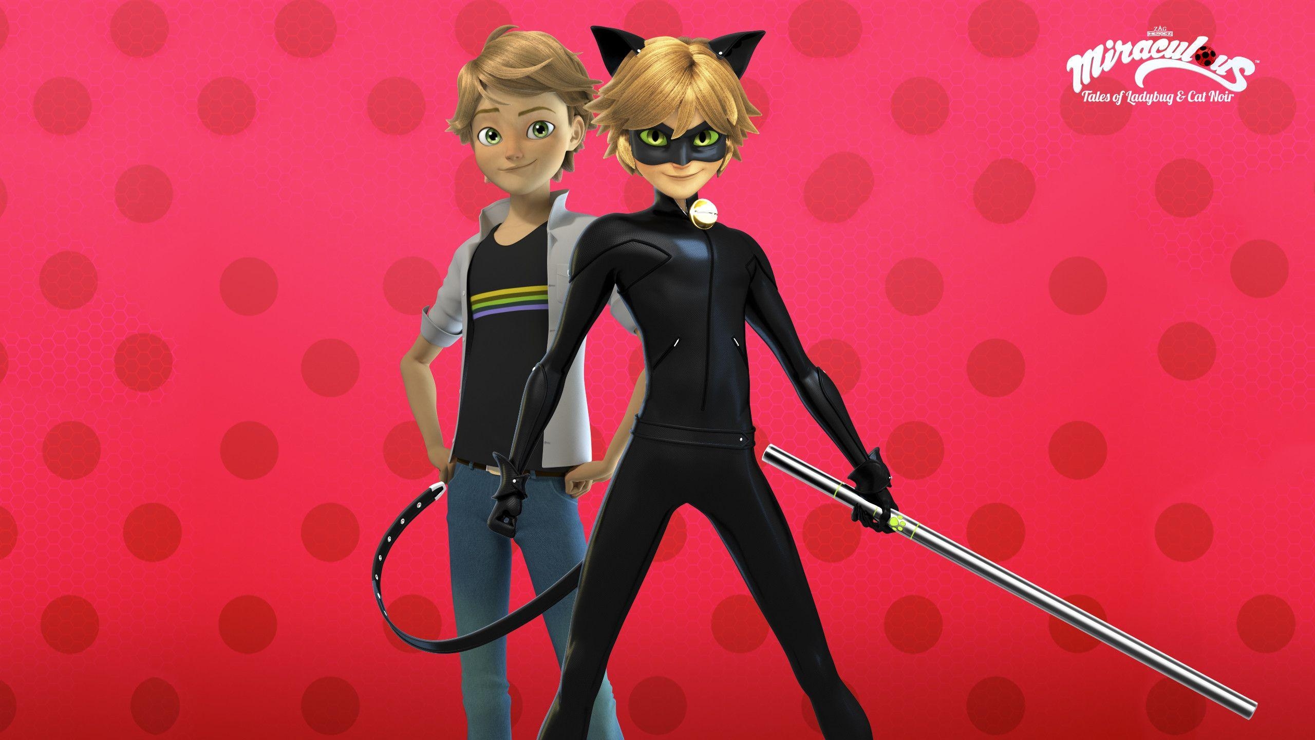 Ladybug, Chat Noir, Cartoons, Abenteuer, Superhelden, 2560x1440 HD Desktop