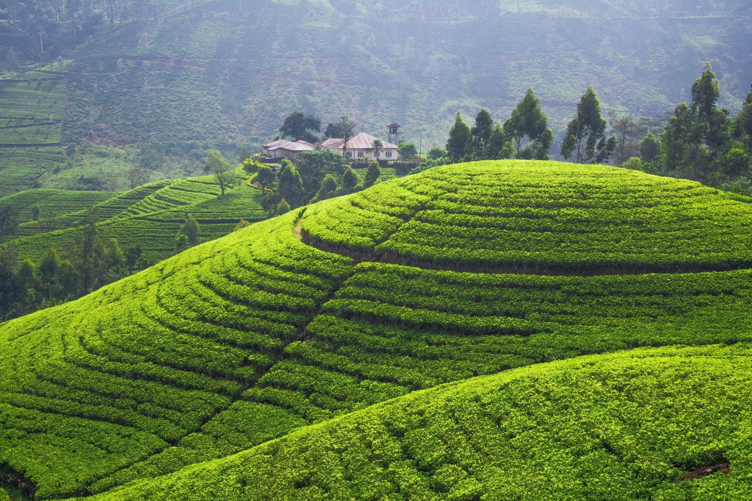 Sri Lanka, HD, Bild, Insel, Exklusiv, 3000x2000 HD Desktop