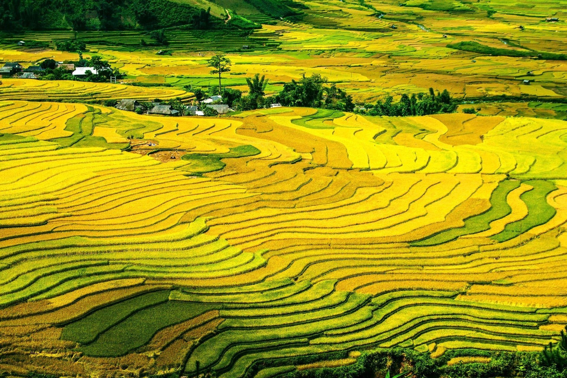 Banaue Reisterrassen, Luftaufnahme, HD, Fotografie, Reisen, 1920x1280 HD Desktop