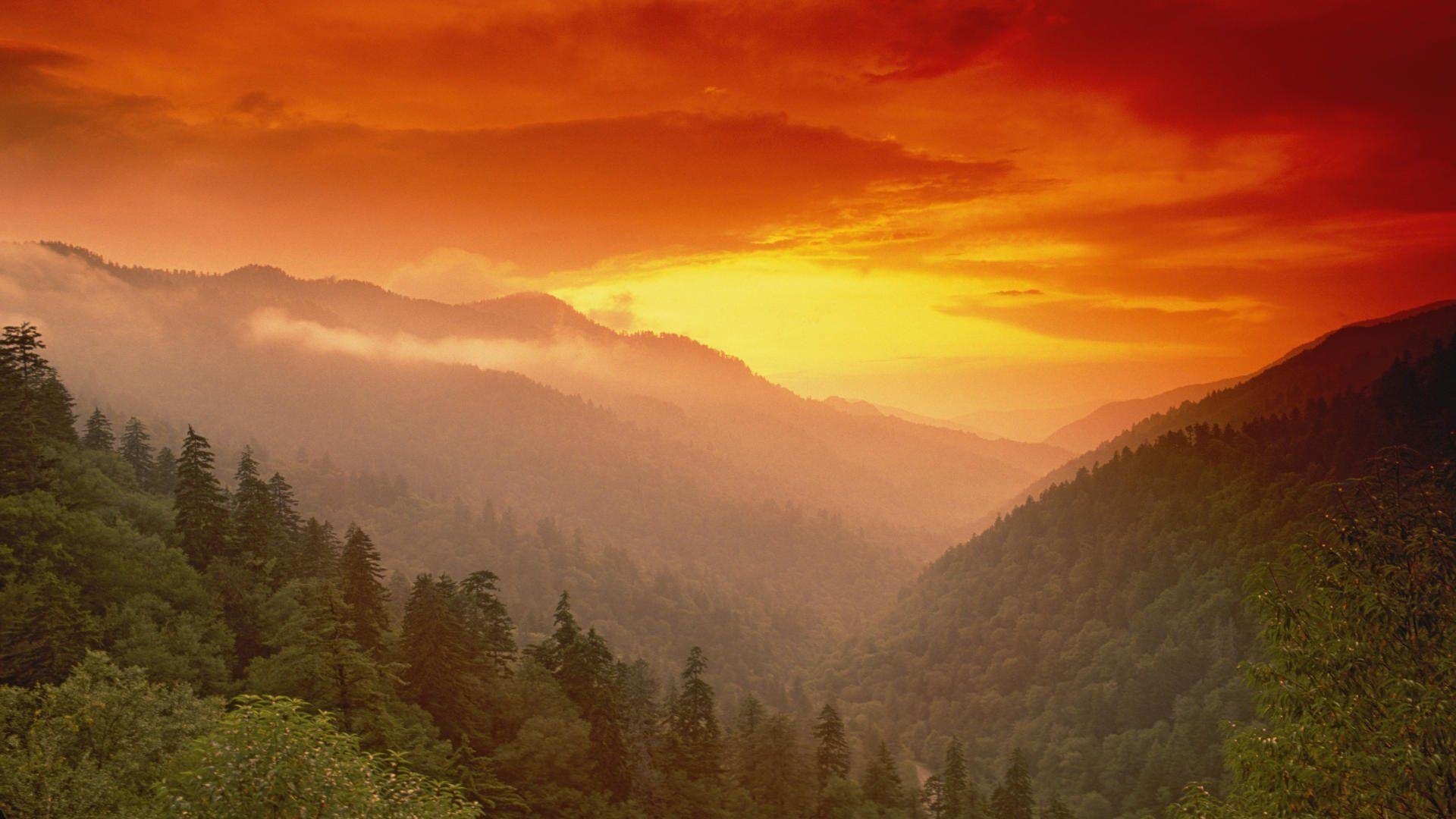 Kostenlose Bilder, Smoky Mountains, USA, Natur, Nationalpark, 1920x1080 Full HD Desktop