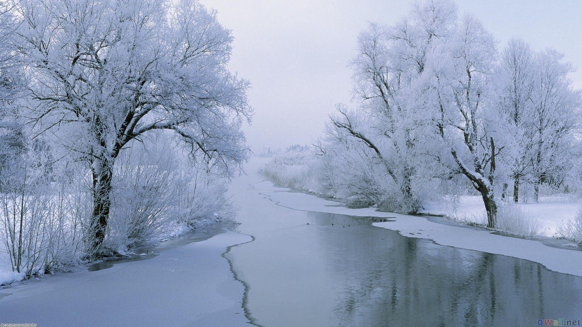 Winter, Natur, Landschaft, Schnee, Kälte, 1920x1080 Full HD Desktop