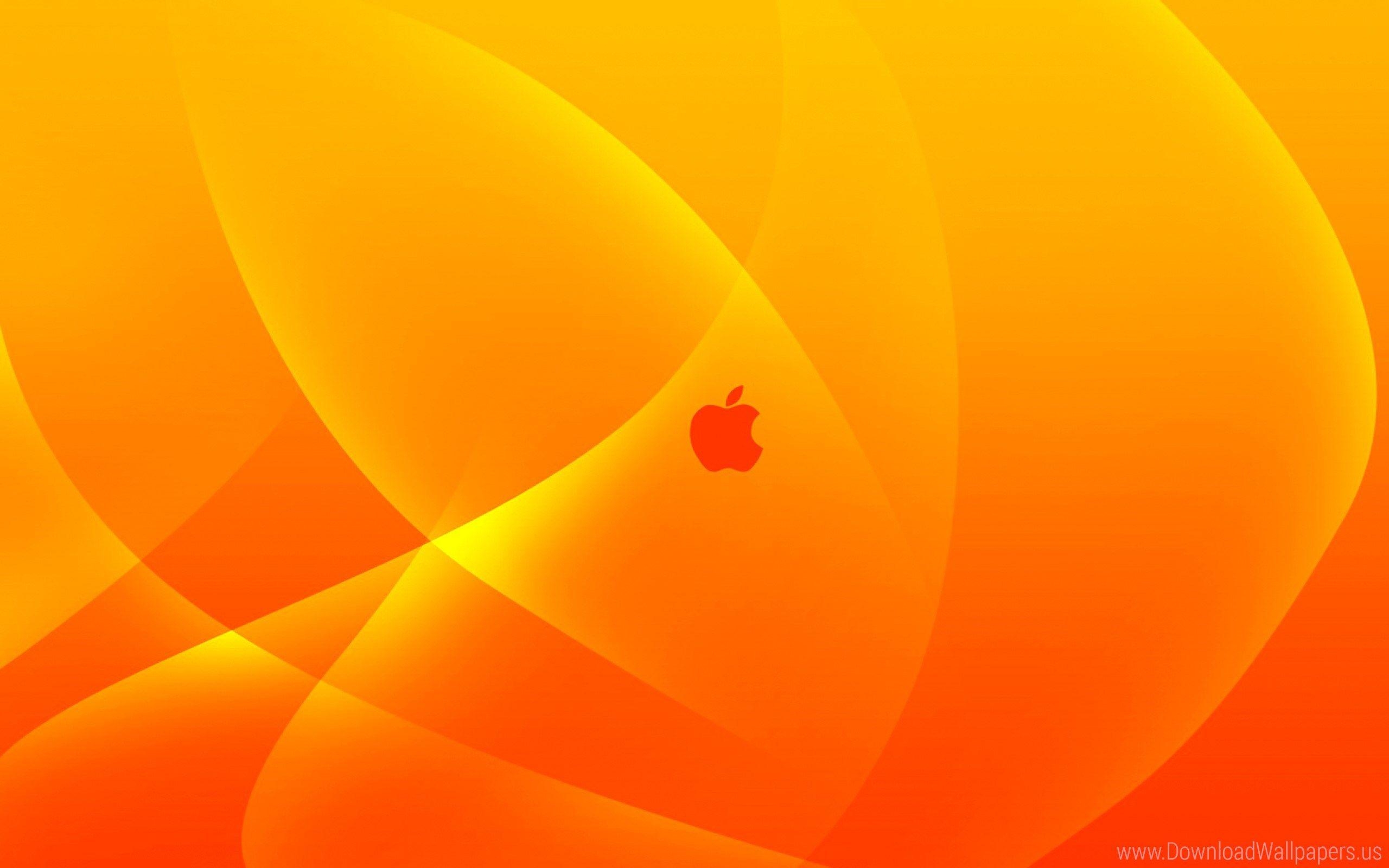 Orange, Lebensmittel, Farbe, Hintergrund, Frucht, 2560x1600 HD Desktop