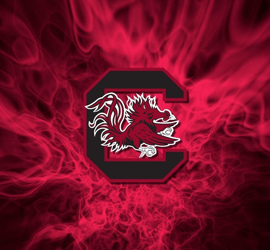 South Carolina Gamecocks, Fußball, Team, NCAA, Fotos, 1040x960 HD Desktop