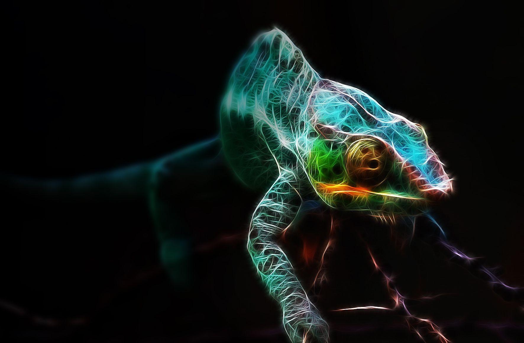 Eidechse, visuell, iPad, Bild, Reptil, 1780x1160 HD Desktop