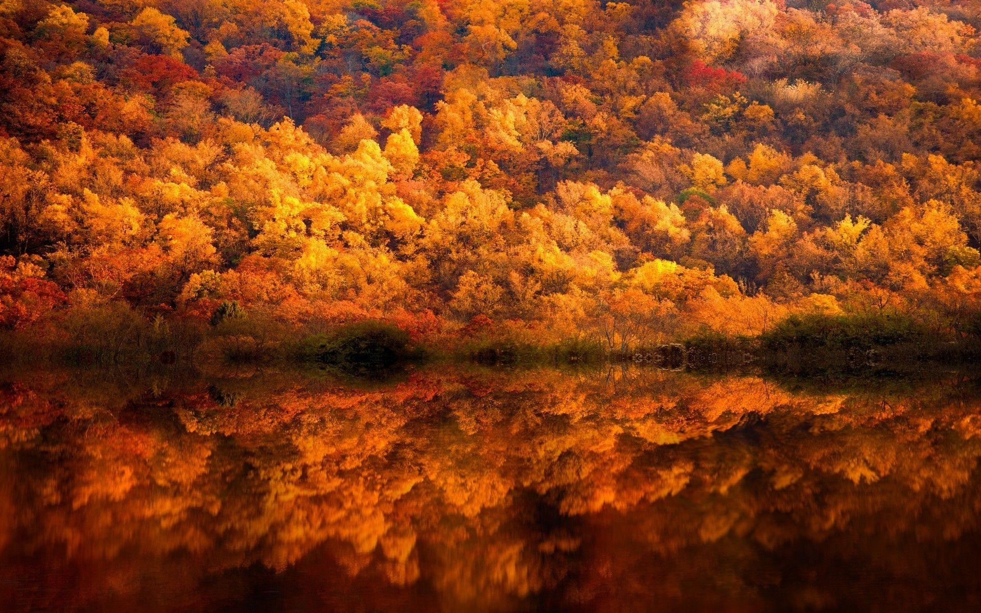 Natur, Landschaft, Herbst, See, Spiegelung, 1920x1200 HD Desktop