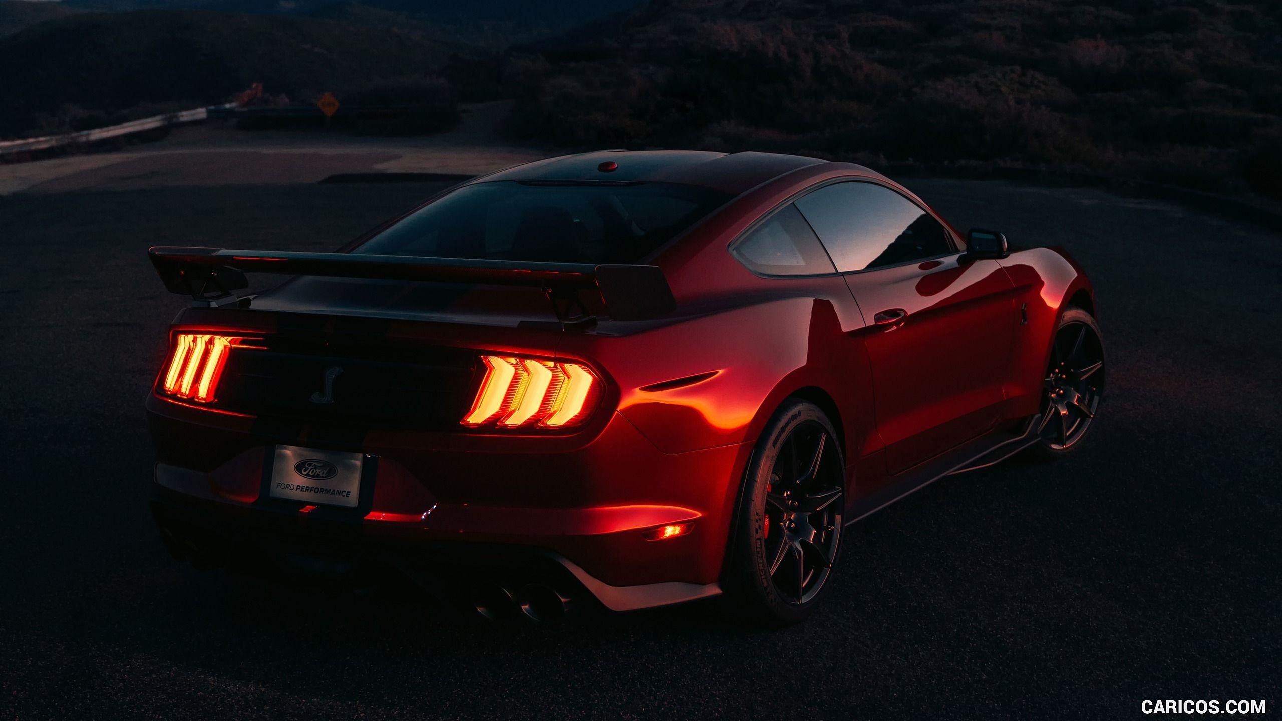 Mustang Shelby, GT500, HD, Auto, Sportwagen, 2560x1440 HD Desktop