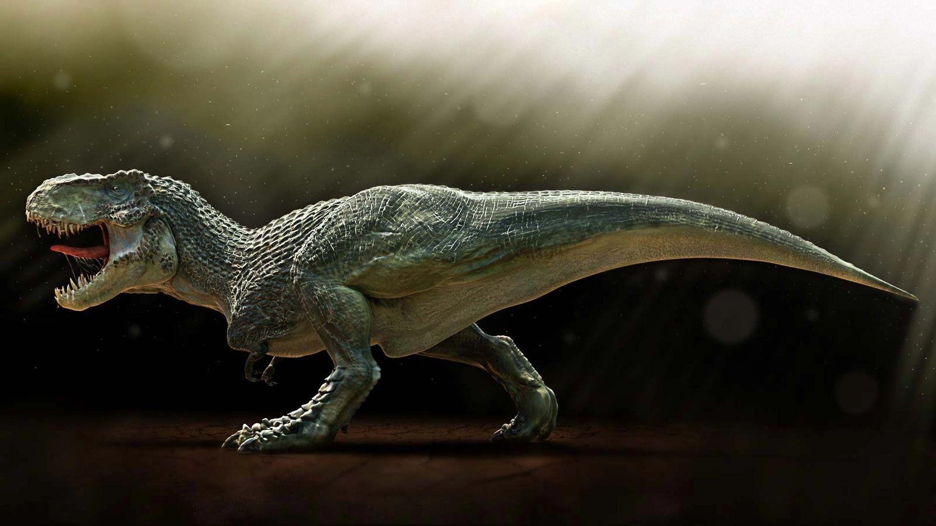 Tyrannosaurus Rex, Dinosaurier, Saurier, prähistorisch, Fossilien, 1920x1080 Full HD Desktop