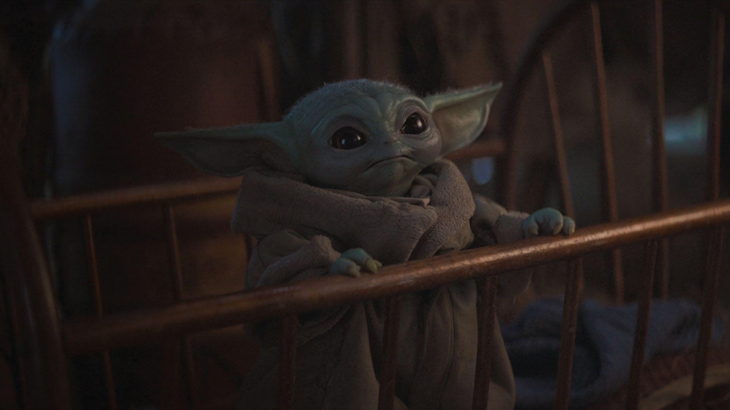 Baby Yoda, süß, Mandalorian, 1440p, Star Wars, 2560x1440 HD Desktop