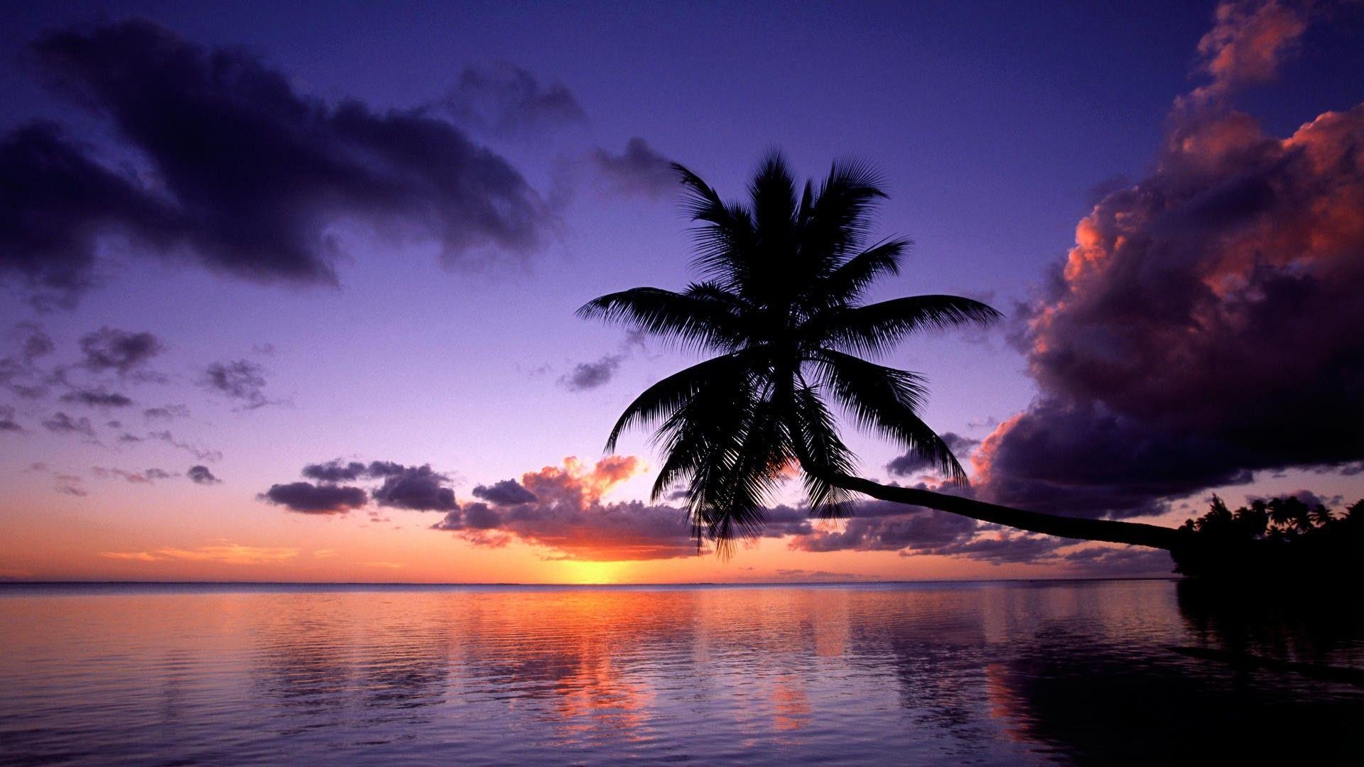 Strand, Moorea, Französisch-Polynesien, Schön, Computer, 1920x1080 Full HD Desktop