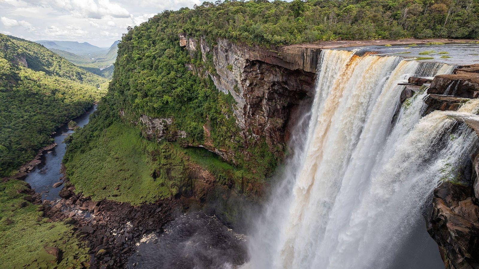 Riesenspinnen und Harpyien Guyana, 1600x900 HD Desktop