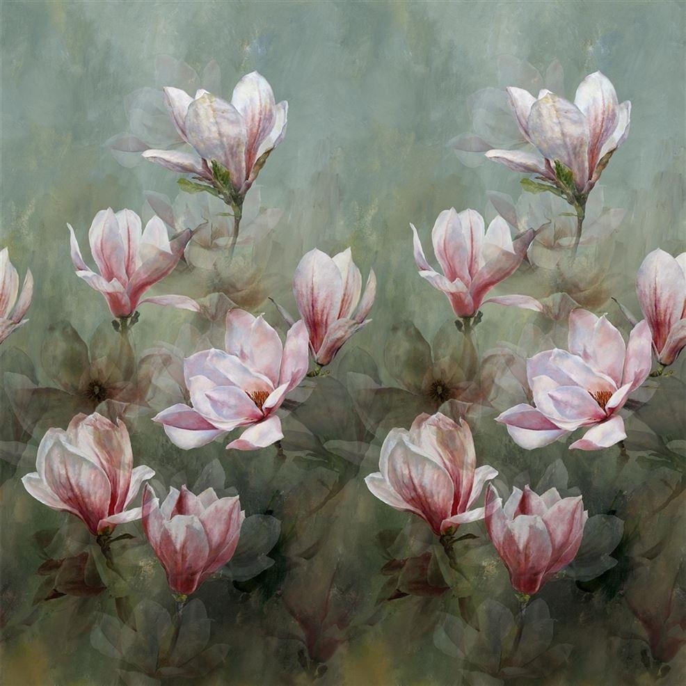 Yulan-Magnolie, Designer, Guild, Natur, Hintergrund, 990x990 HD Handy