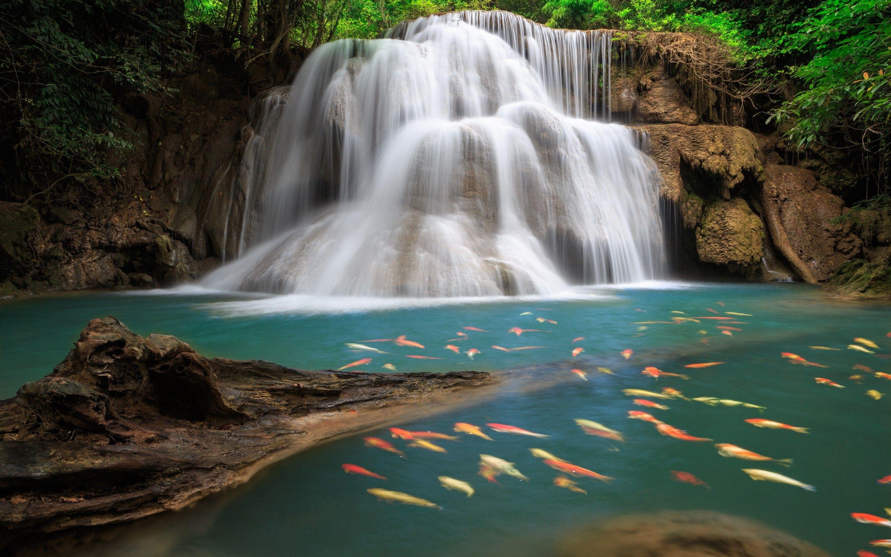 Wasserfall, Hintergrund, Natur, Erfrischung, Fließend, 2880x1800 HD Desktop