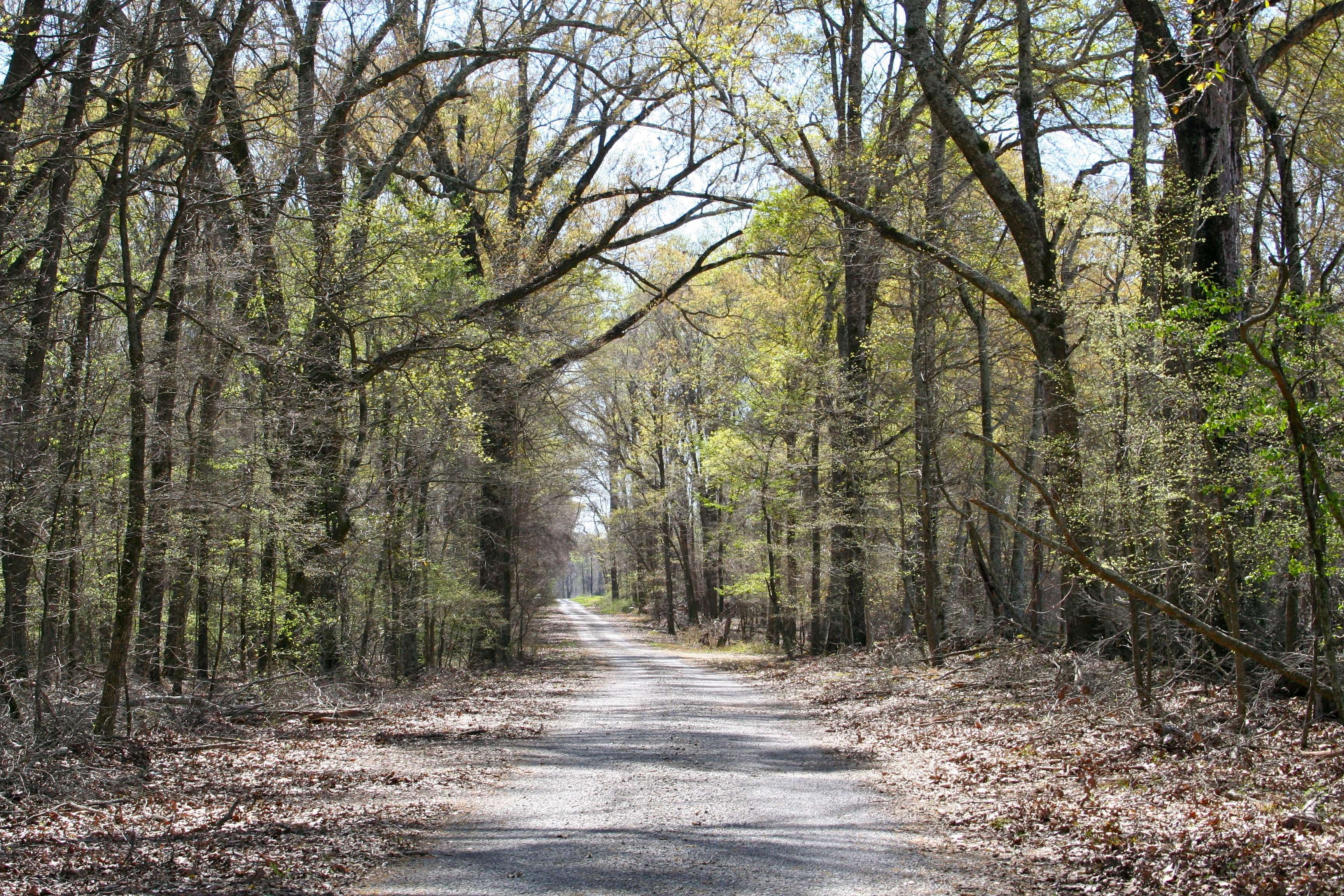 Landstraße, Louisiana, Hintergrund, USA, Reise, 3460x2310 HD Desktop