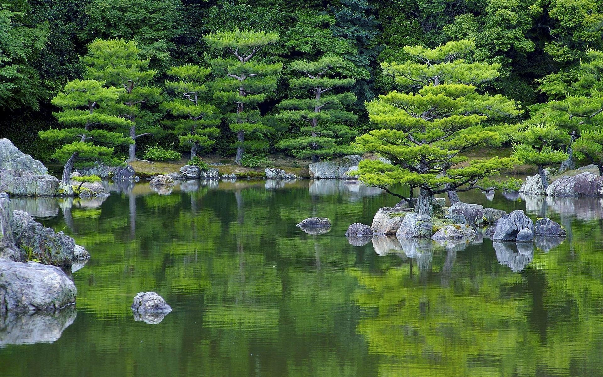 Japanischer, Garten, Kyoto, Friedlich, Natur, 1920x1200 HD Desktop