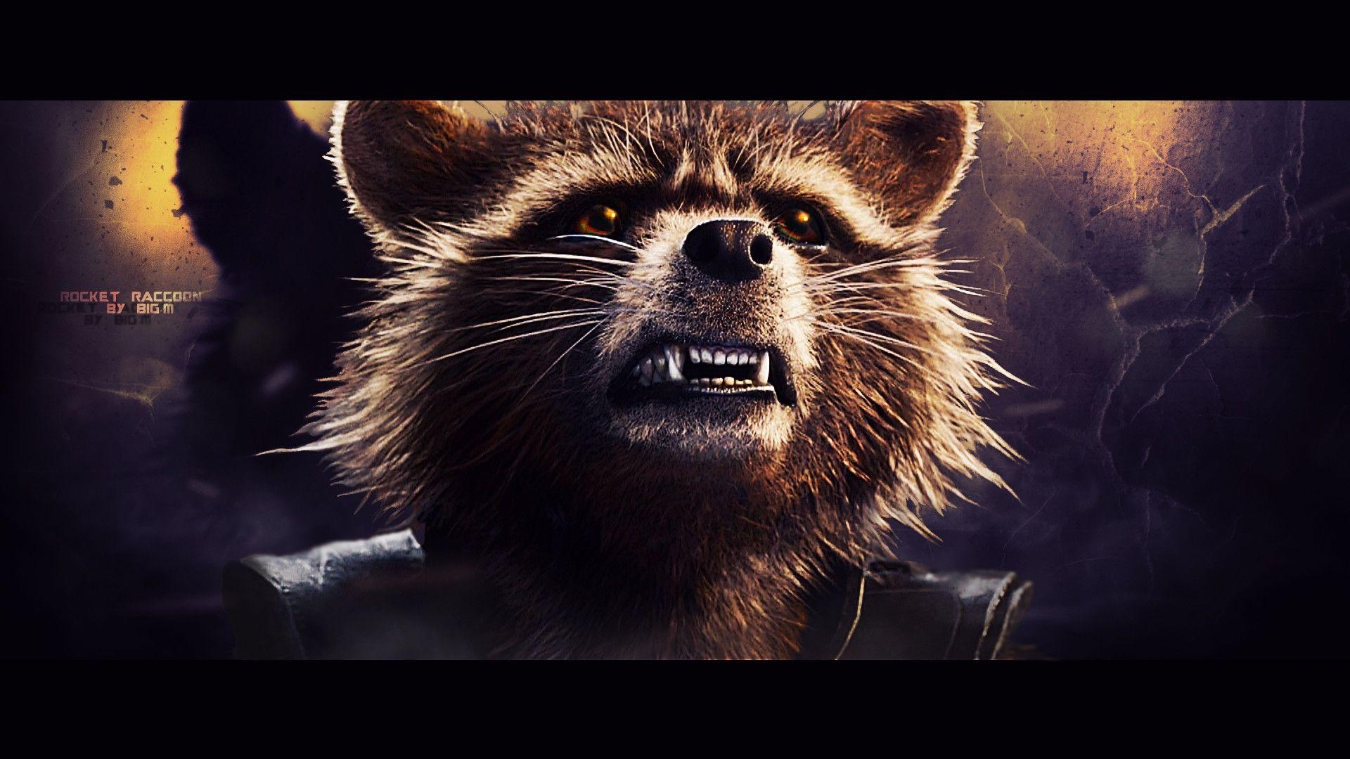 Rocket Raccoon, Hintergrund, Bild, Marvel, Superheld, 1920x1080 Full HD Desktop