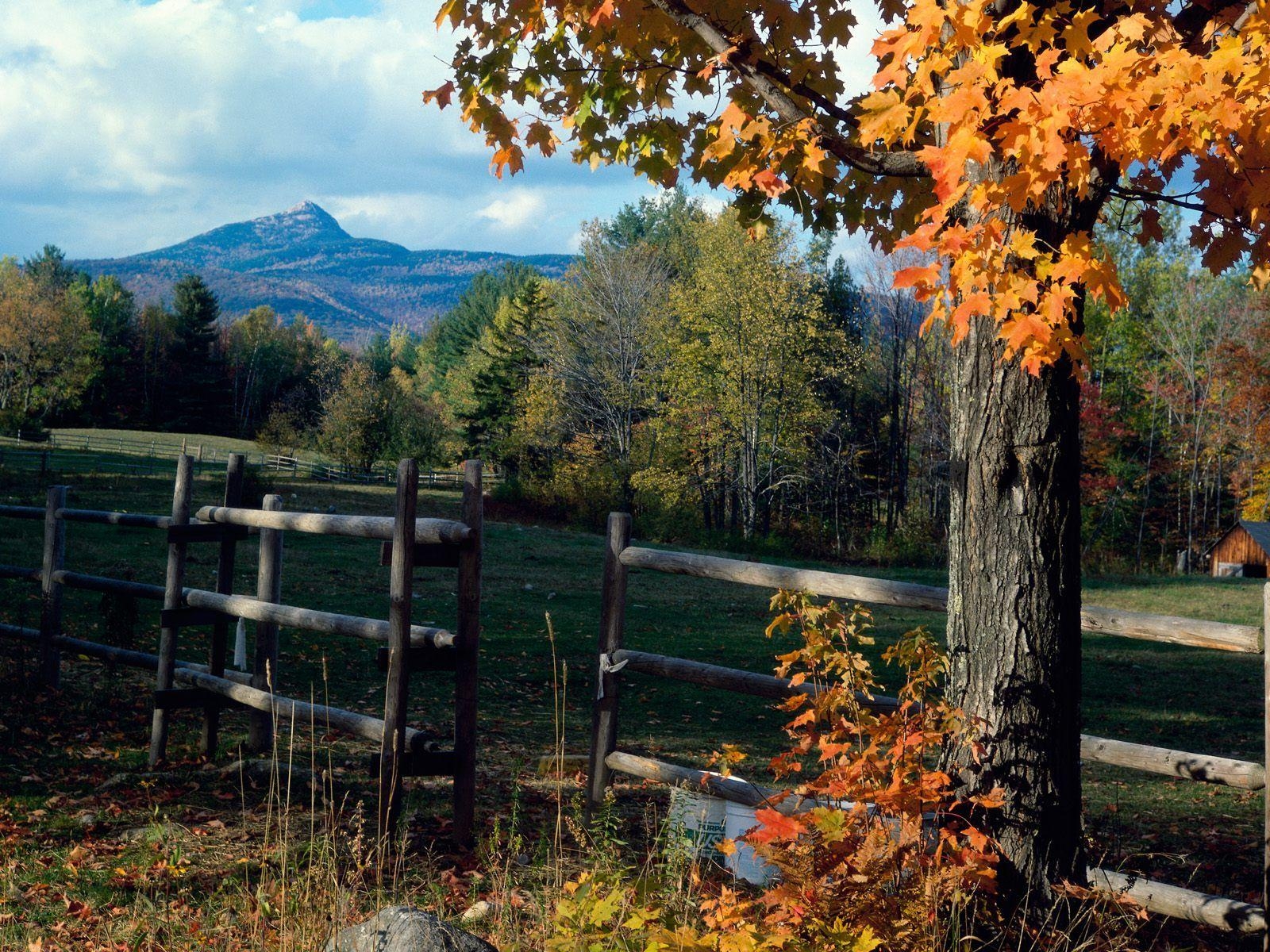 Herbstfarben, Mount Chocorua, New Hampshire, kostenlos, reisen, 1600x1200 HD Desktop