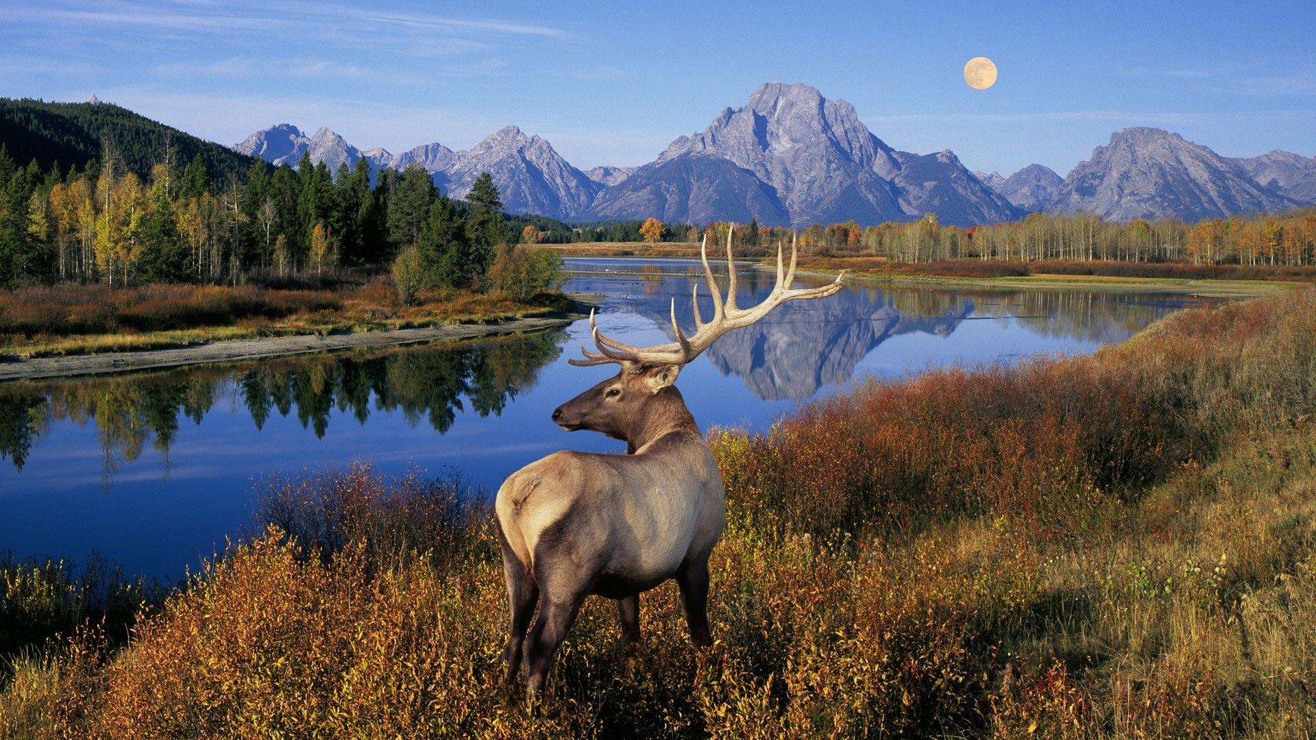 Nationalpark, Grand Teton, Landschaft, HD Hintergrund, 1920x1080 Full HD Desktop