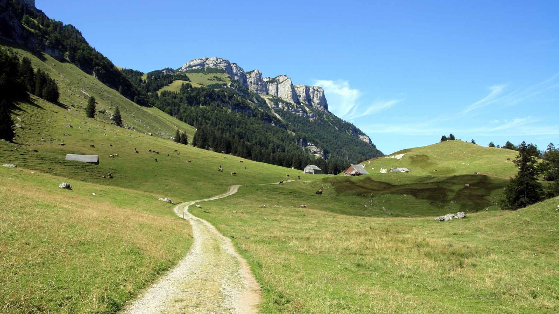 Wanderweg, Natur, HD, Trail, Bewertung, 1920x1080 Full HD Desktop