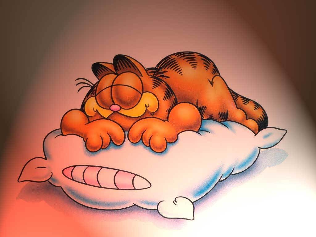 Garfield, Cartoon, Katze, Zeichentrick, Beliebt, 1030x770 HD Desktop