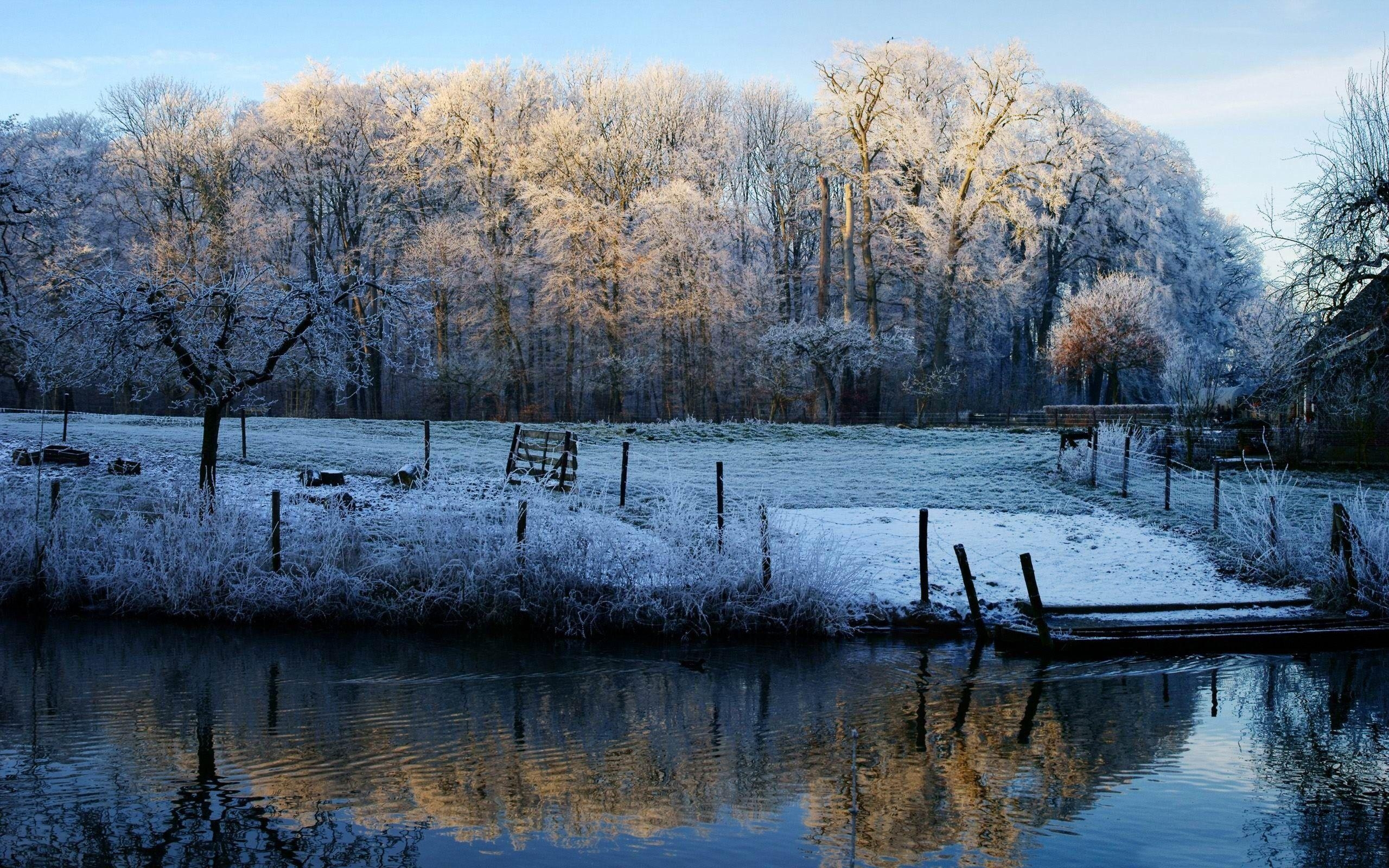 Winterlandschaft, Schnee, Wisconsin, Szene, Landschaft, 2560x1600 HD Desktop