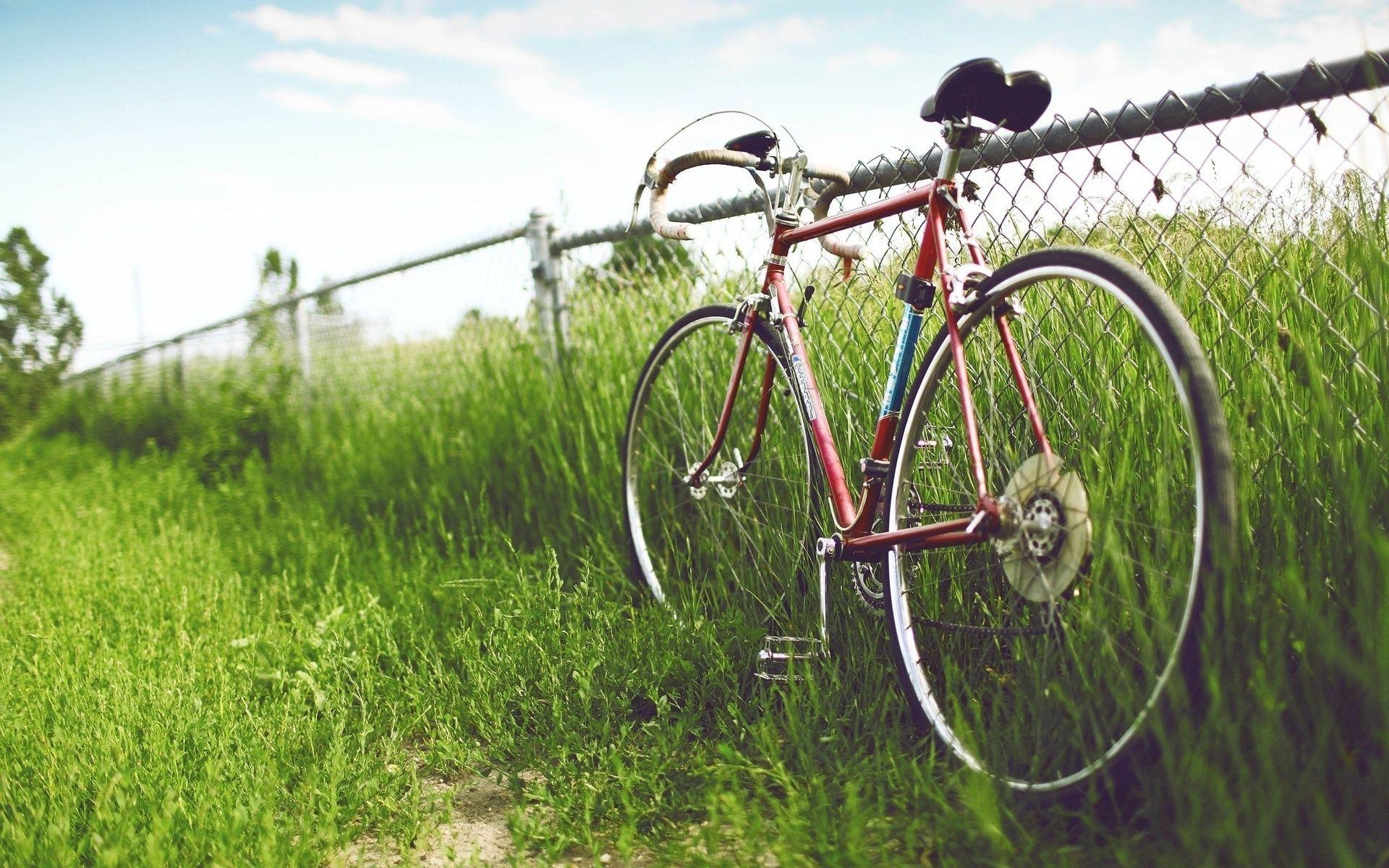 Fahrrad, Bauernhof, Foto, Landschaft, Natur, 1920x1200 HD Desktop