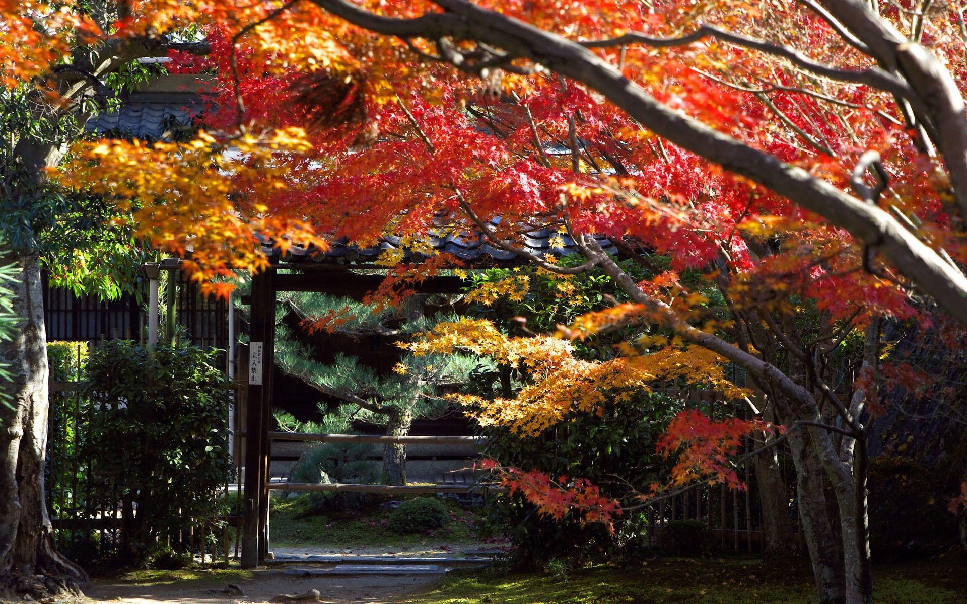 Kyoto, Japan, Hintergrund, Reisen, Schönheit, 1920x1200 HD Desktop