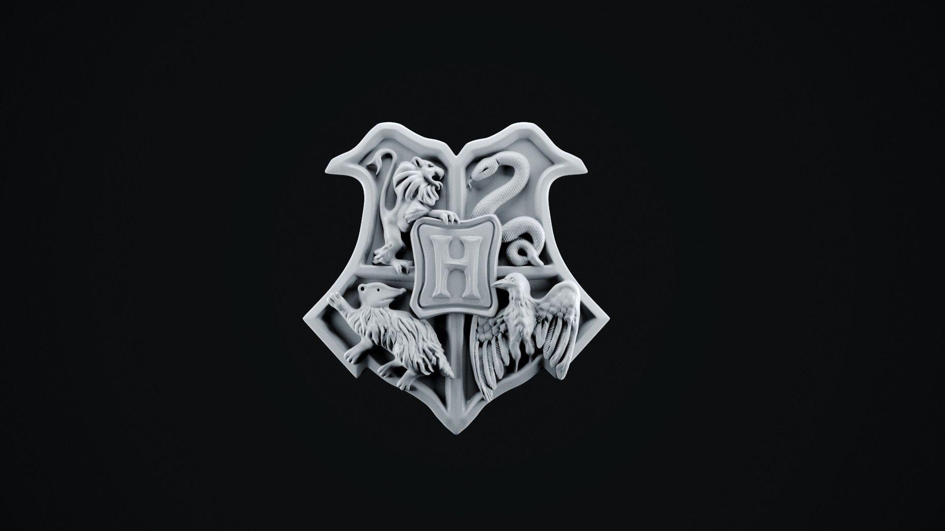 Hogwarts Wappen, Slytherin, Magical, Harry Potter, Schule, 1920x1080 Full HD Desktop