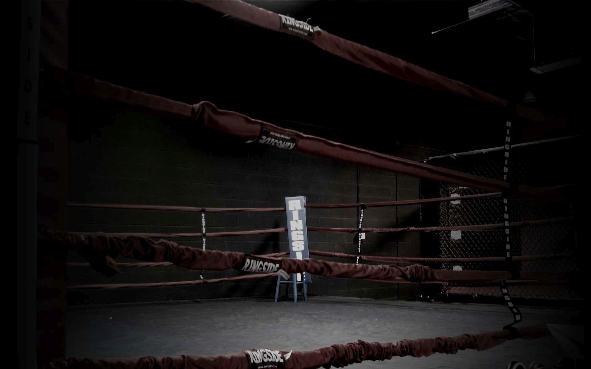 Muay Thai, Hintergrund, Kampfkunst, Analyse, Technik, 1920x1200 HD Desktop