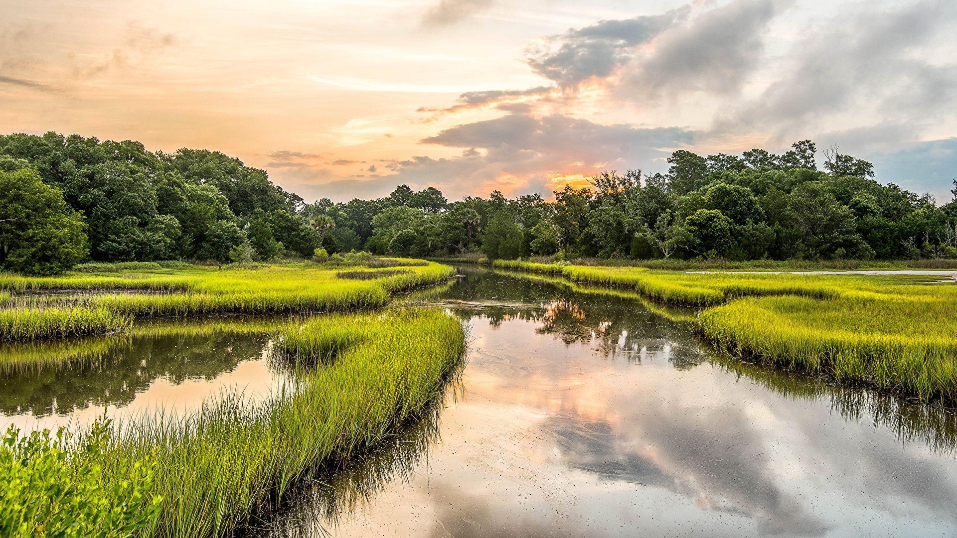 Kiawah Island, South Carolina, Natur, Gras, Fluss, 1920x1080 Full HD Desktop