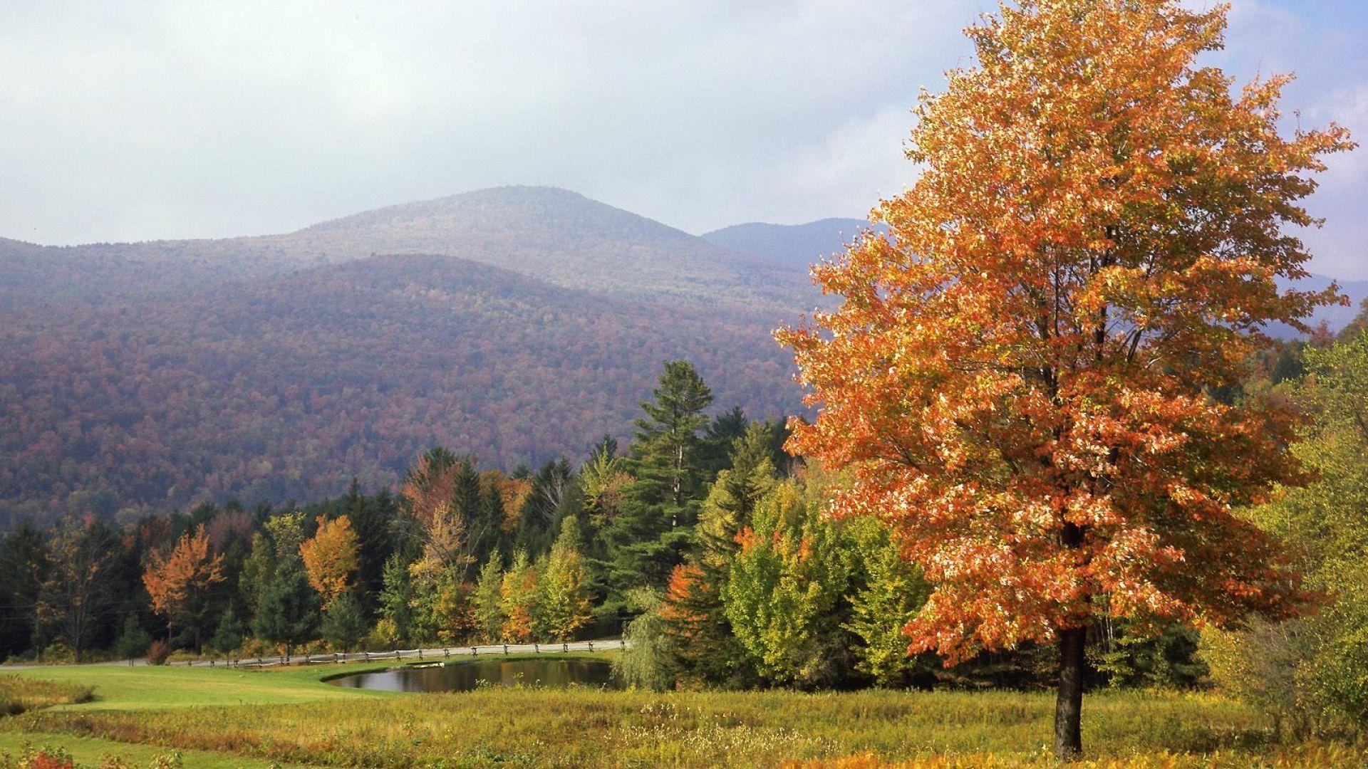 Parkanlage, Vermont, Bäume, Herbst, Full HD, 1920x1080 Full HD Desktop