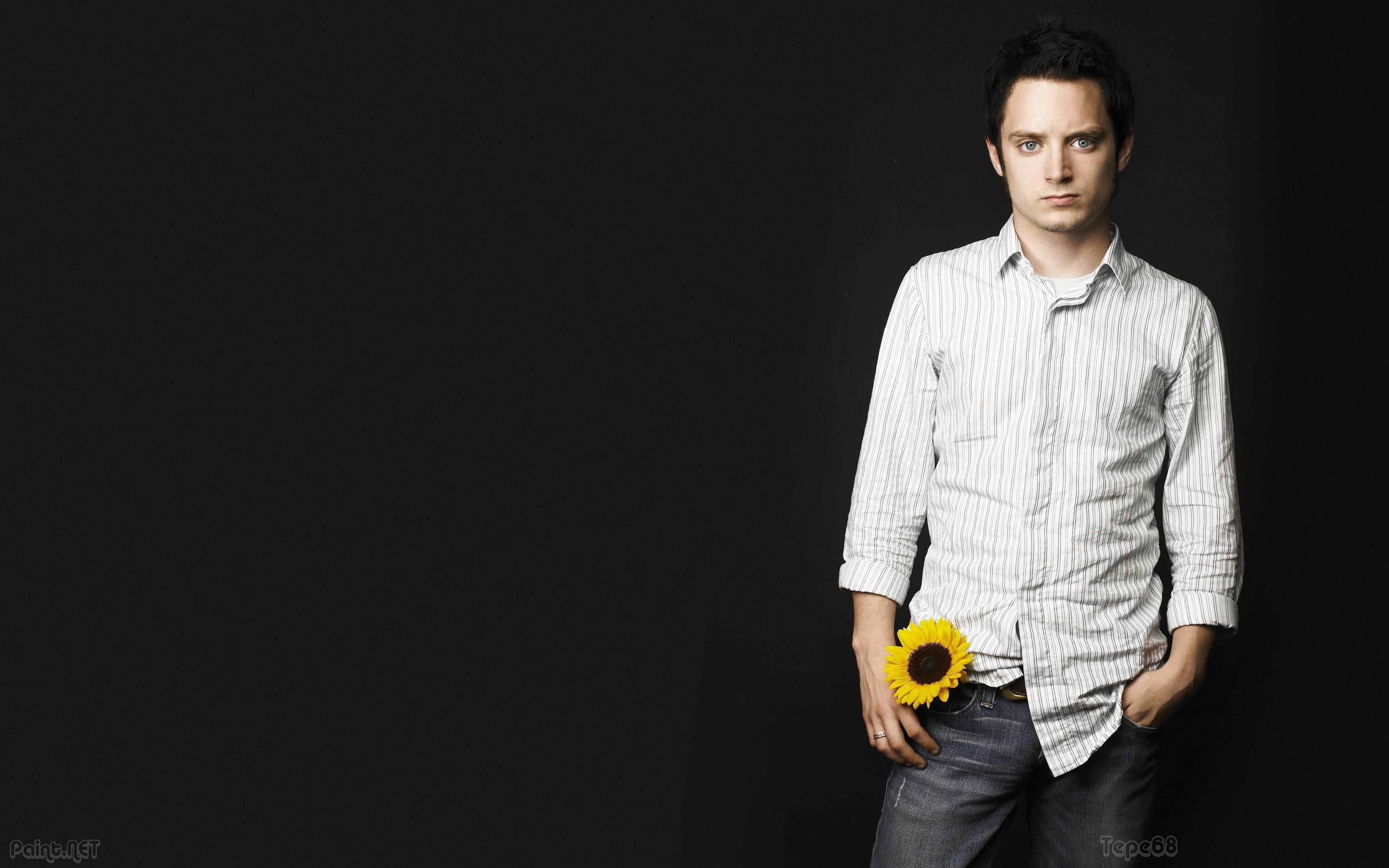 Elijah Wood, Berühmtheit, Leinwand, Hintergrund, Bild, 3520x2200 HD Desktop