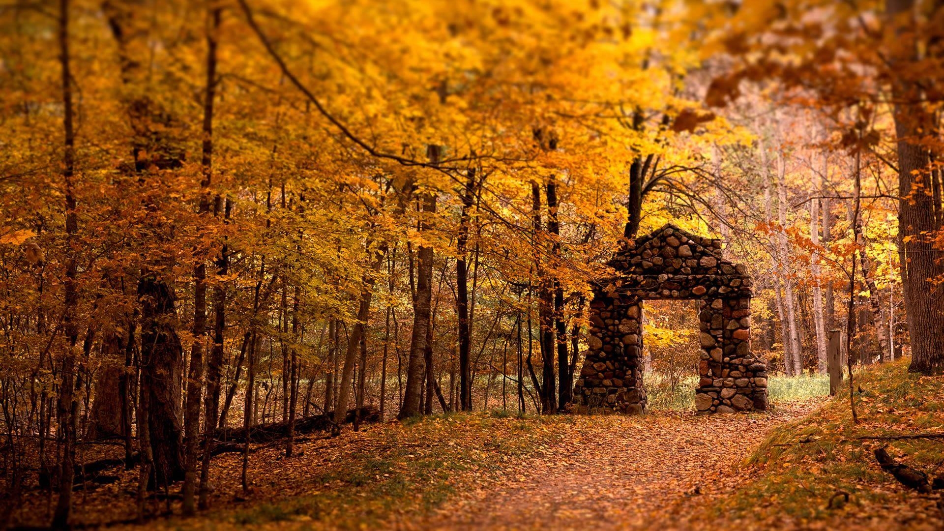 Herbst, Natur, Blätter, Farben, Szenerie, 1920x1080 Full HD Desktop